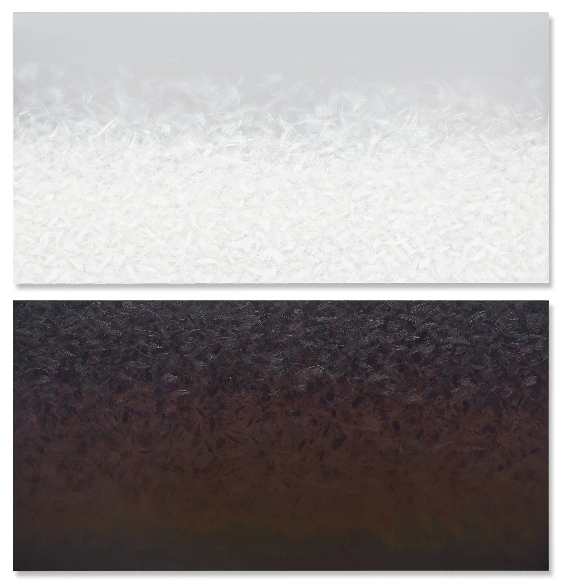 Specular