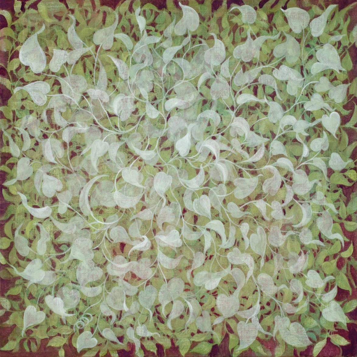 Convolvulus II