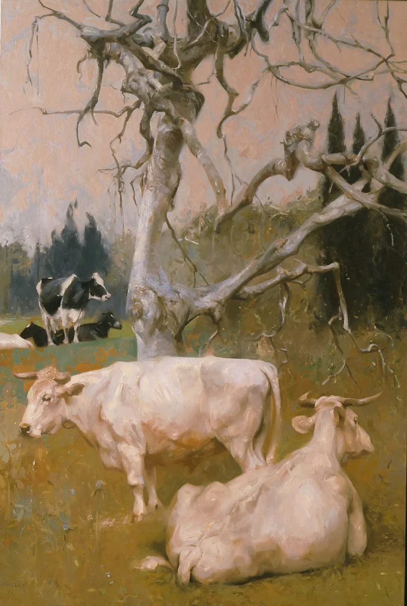 Oxen at a Beech Tree