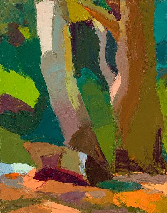 Woods, Kittery Point, Maine