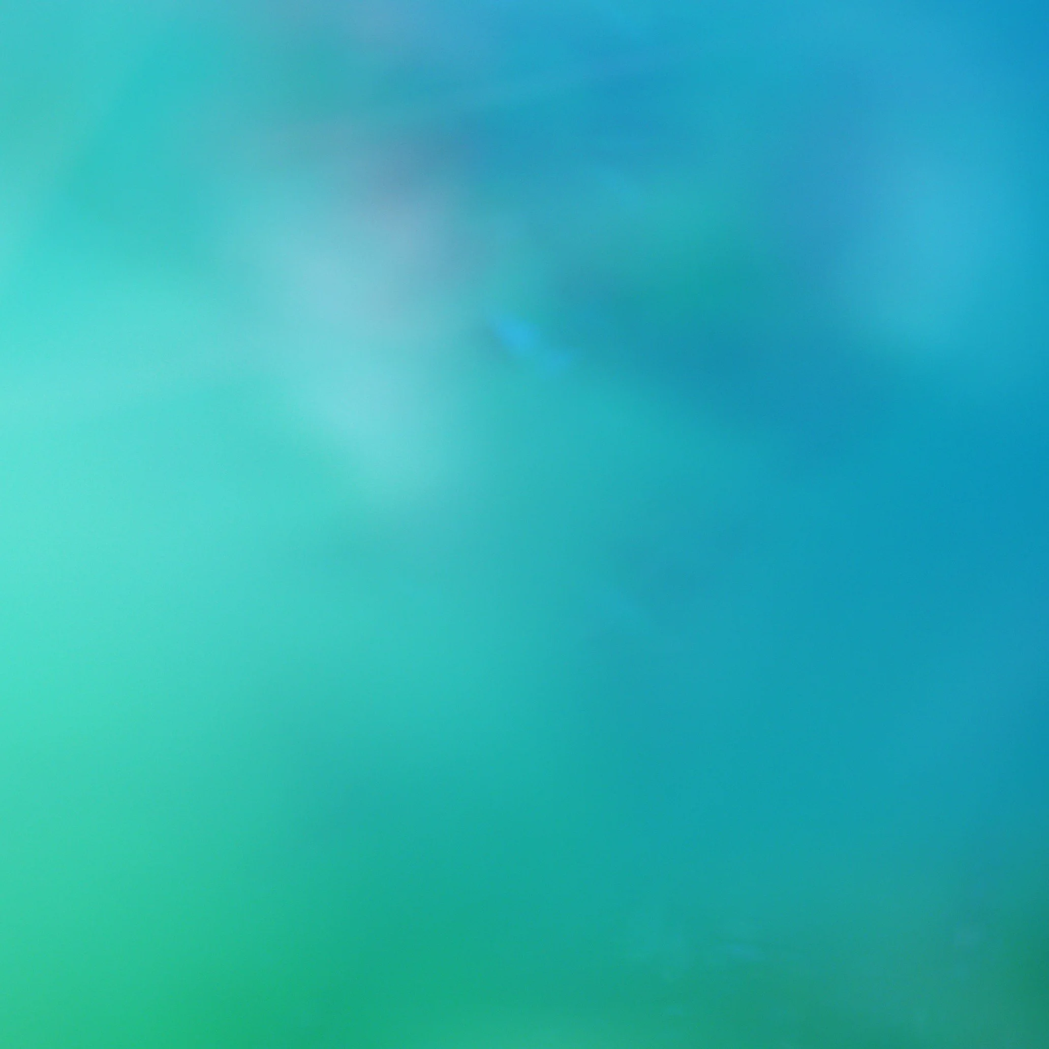Between the Sea and Sky 21