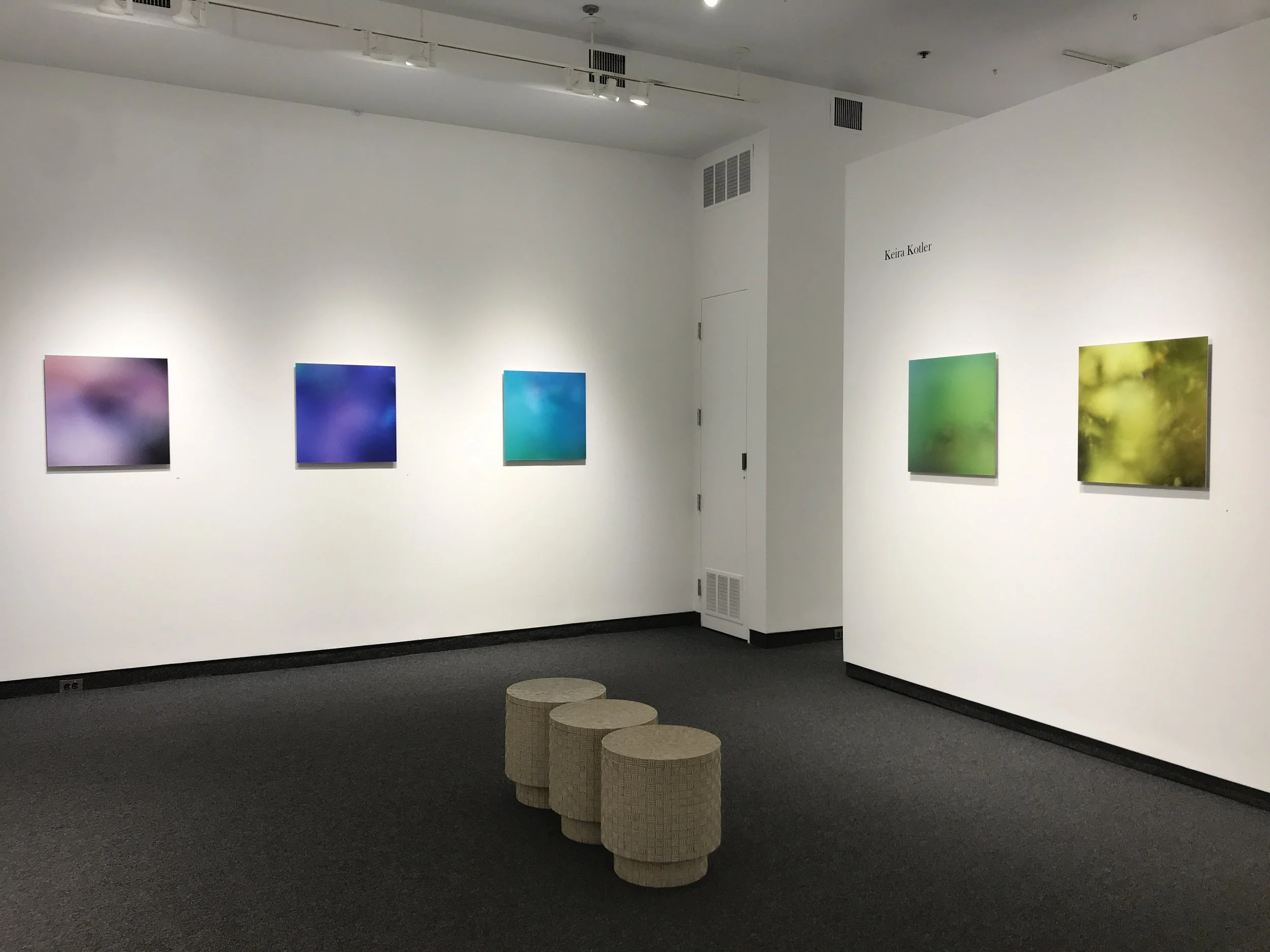 Keira Kotler Gallery NAGA.JPG