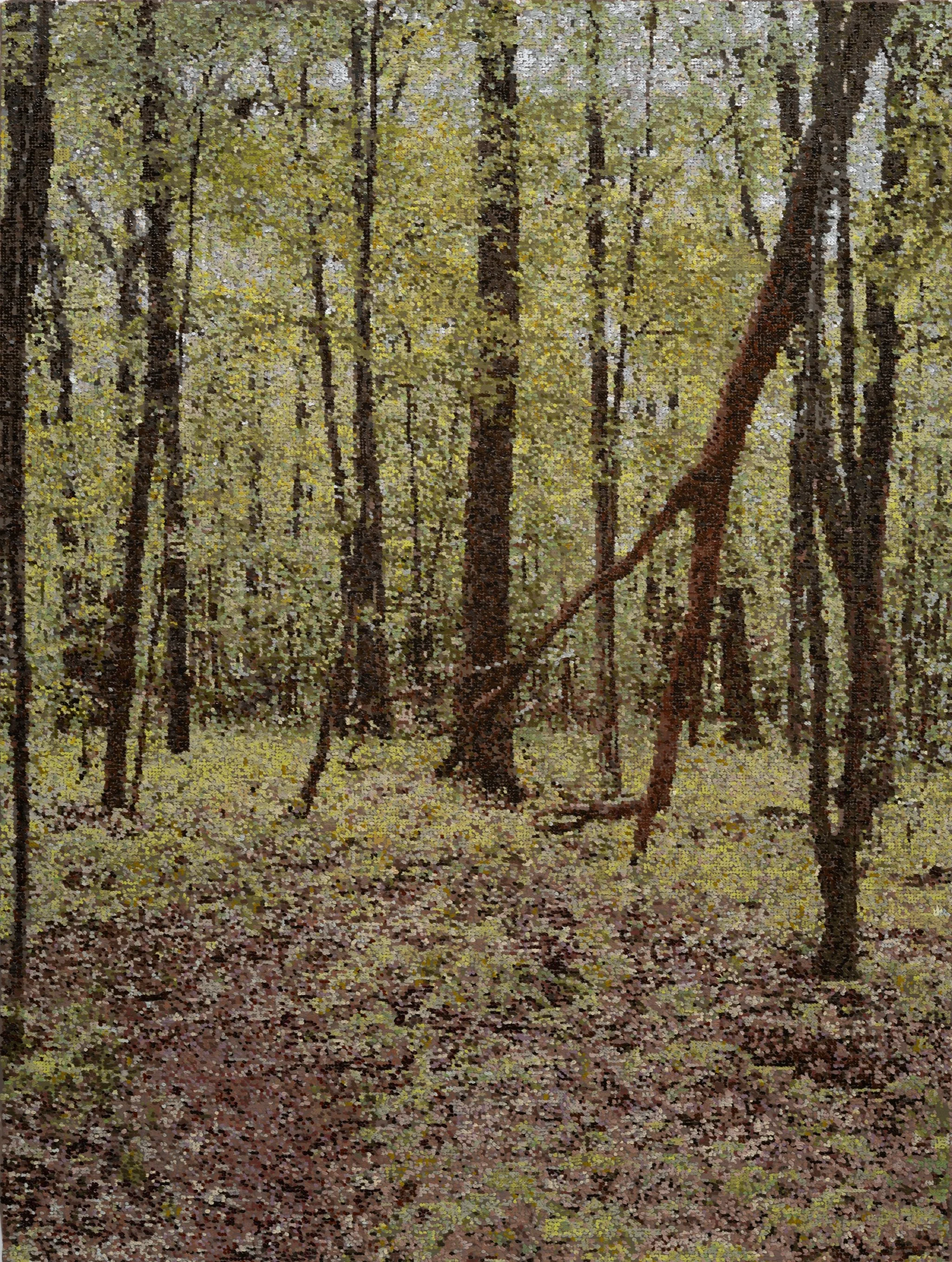 Walk Near Litchfield