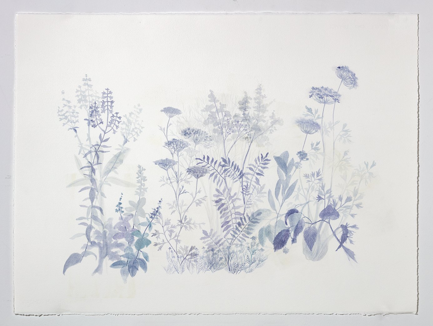 Tonic X: Indigestion