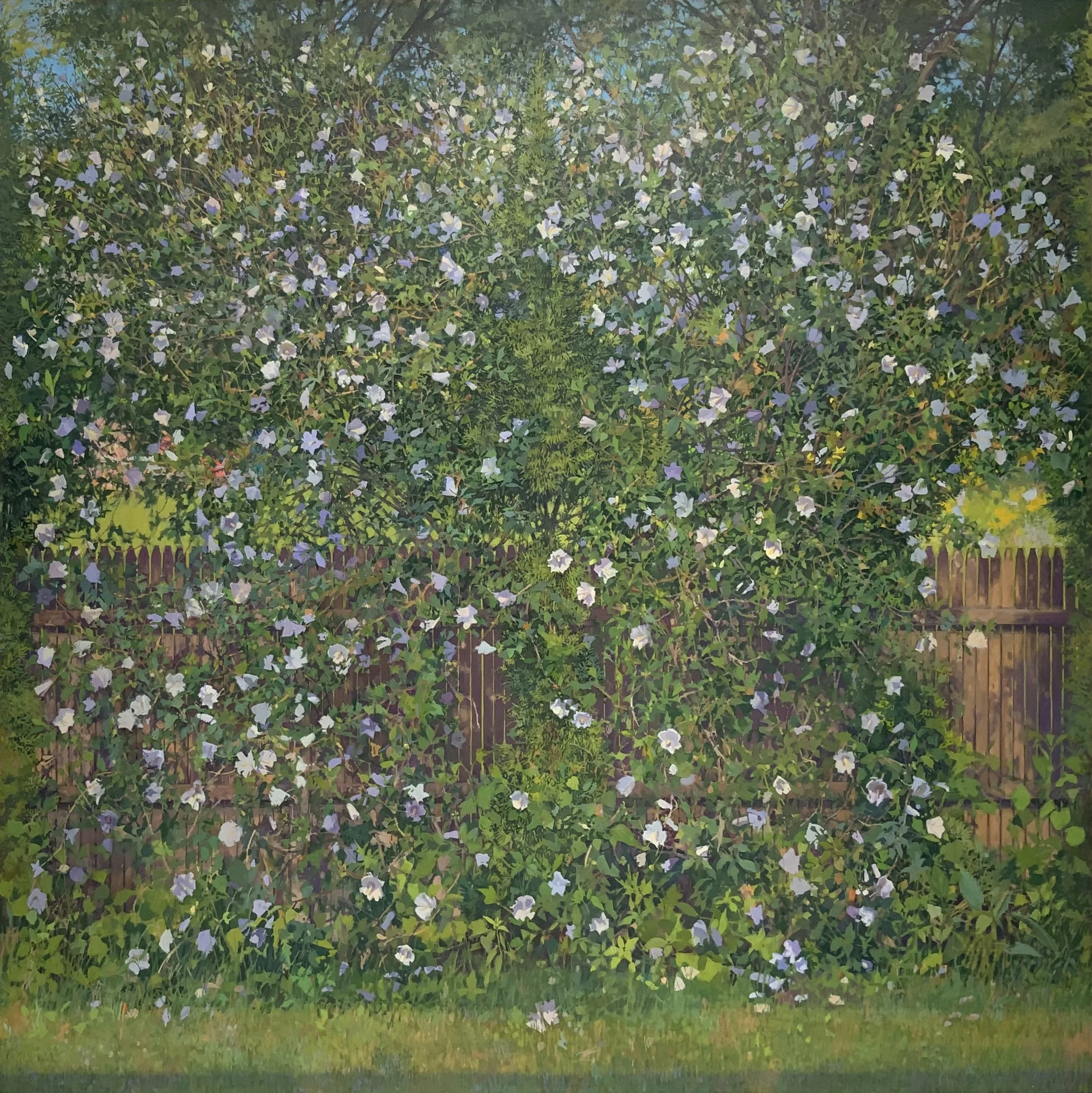 The Grass May Be Greener (Copy)