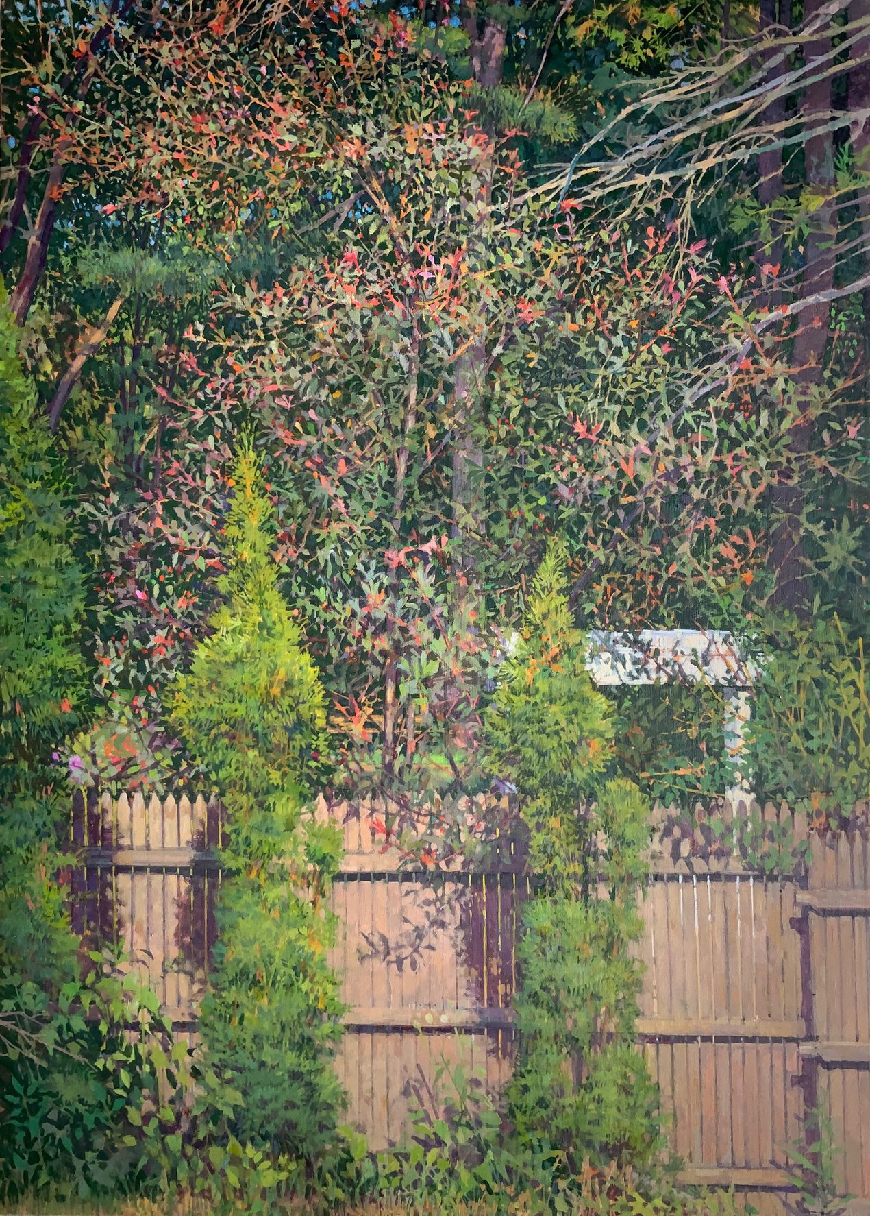 Arborvitae Twins (Copy)