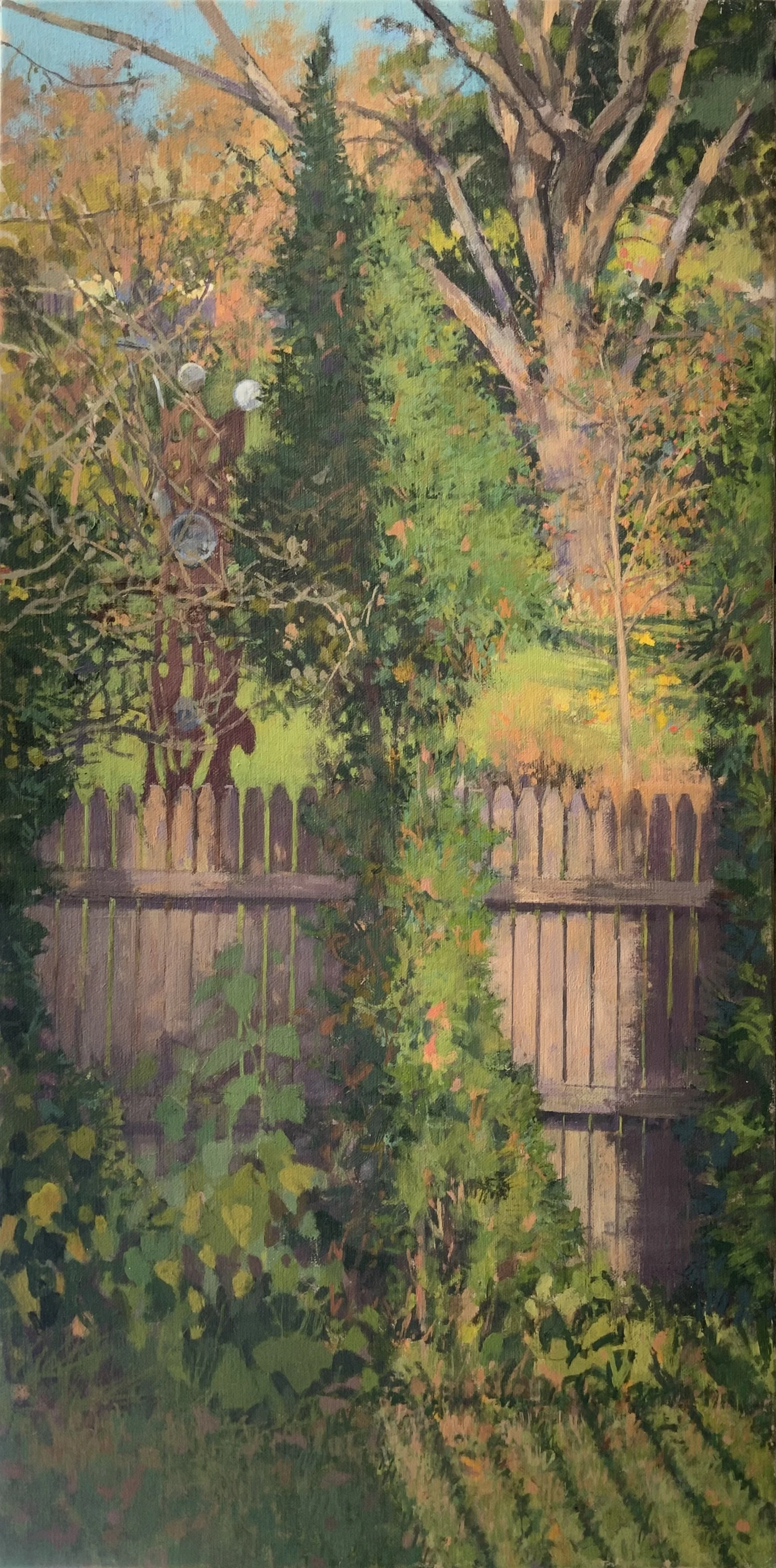 Half-shaded Arborvitae (Copy)