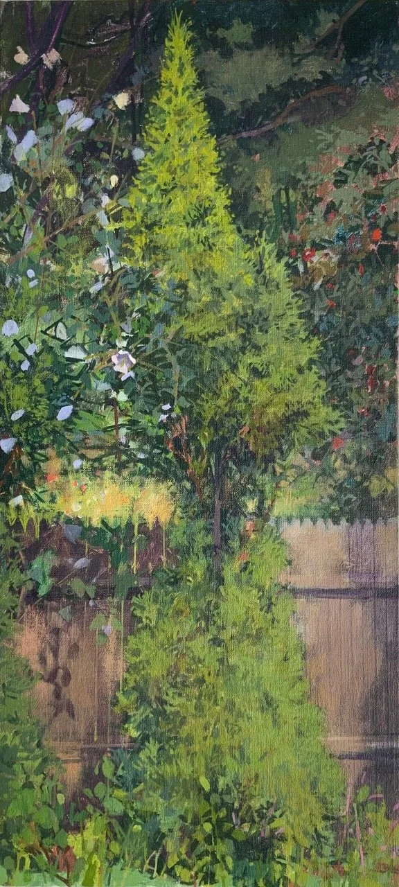 Arborvitae Before the Rain (Copy)