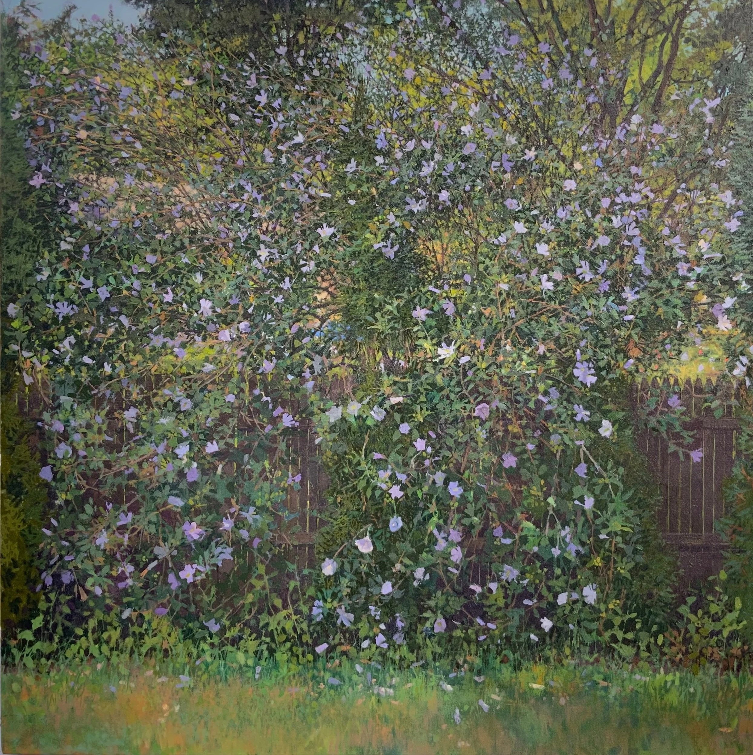 August Morning (Copy)