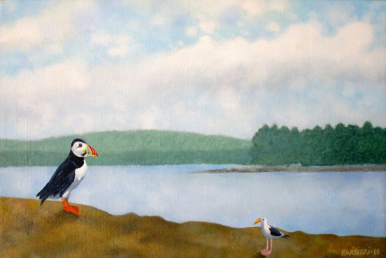 Large Puffin at Home, Muscongus Bay