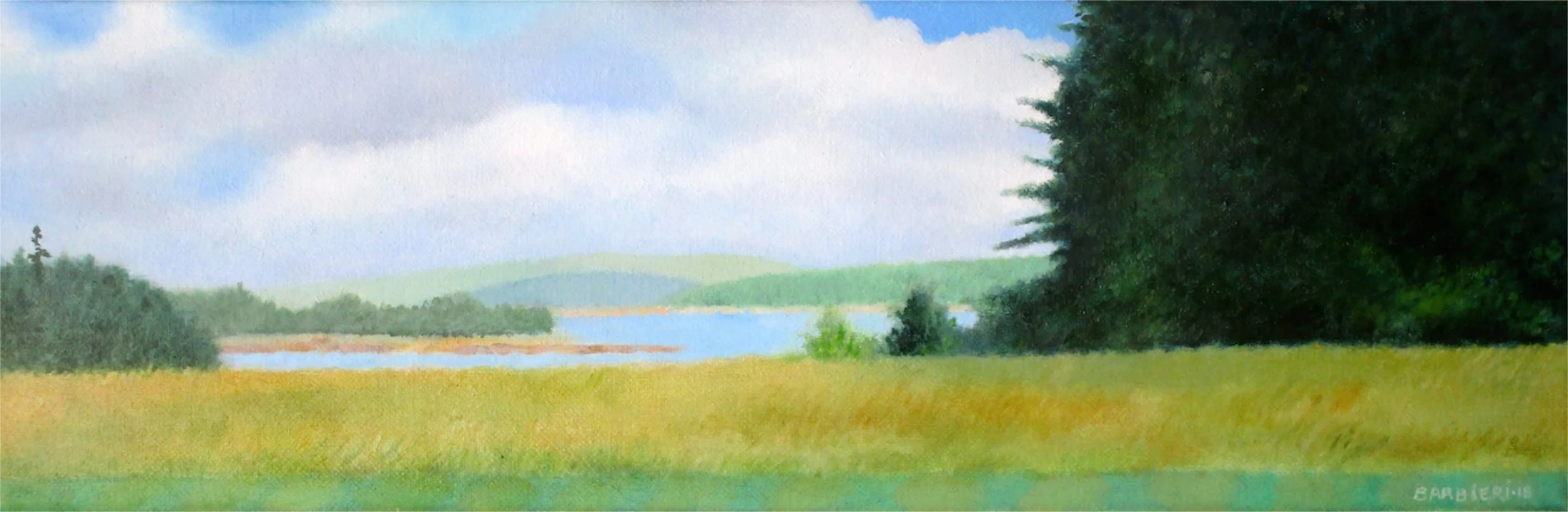 Sunny Morning, Maine