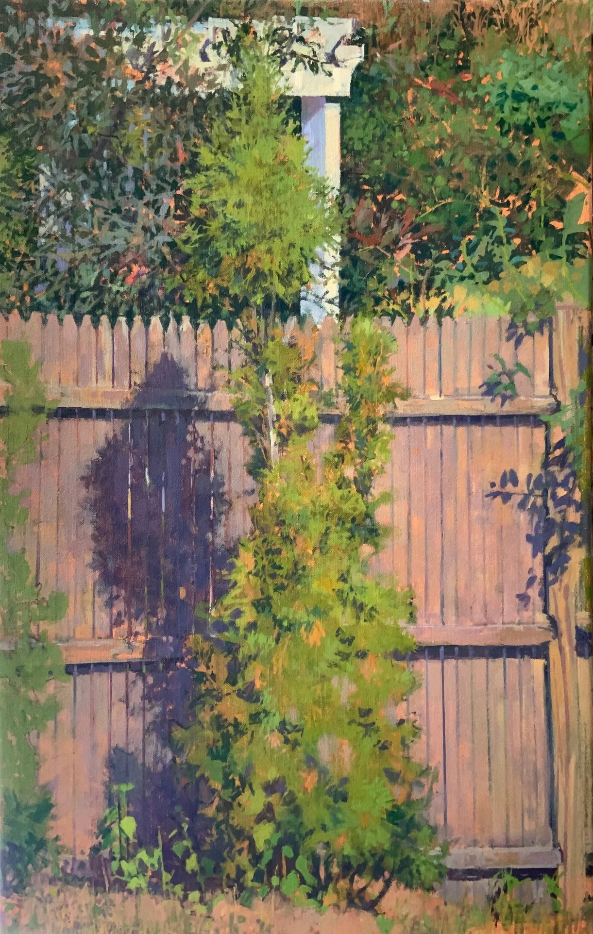Arborvitae by Richard Raiselis in Artsy Curator’s Picks