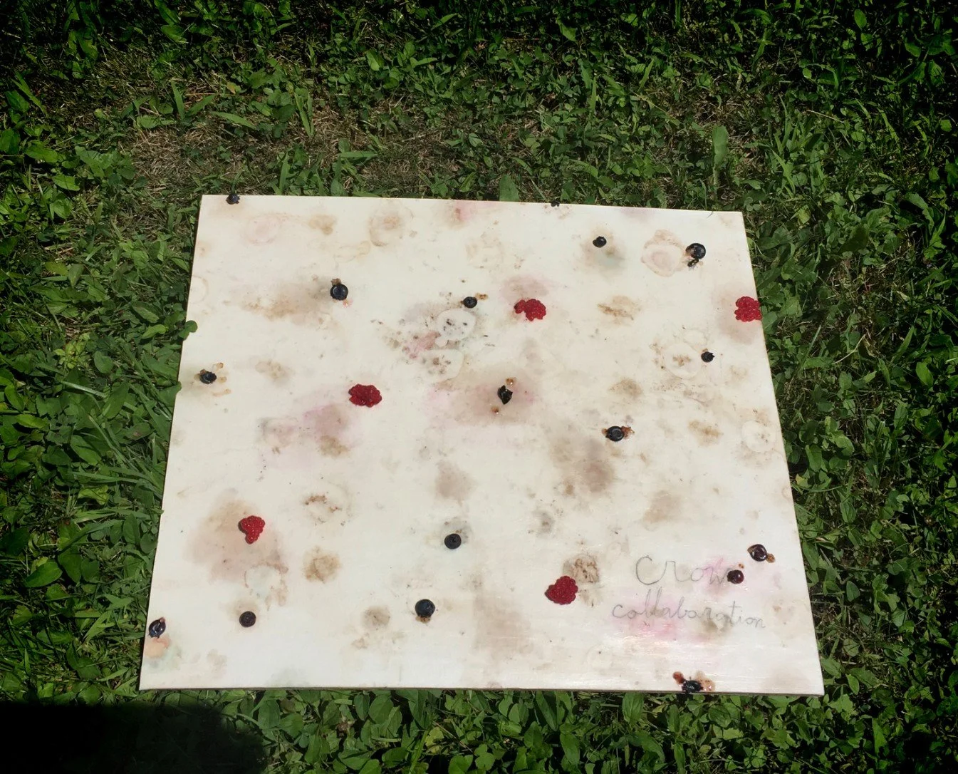 Crow Collaboration (process documentation)