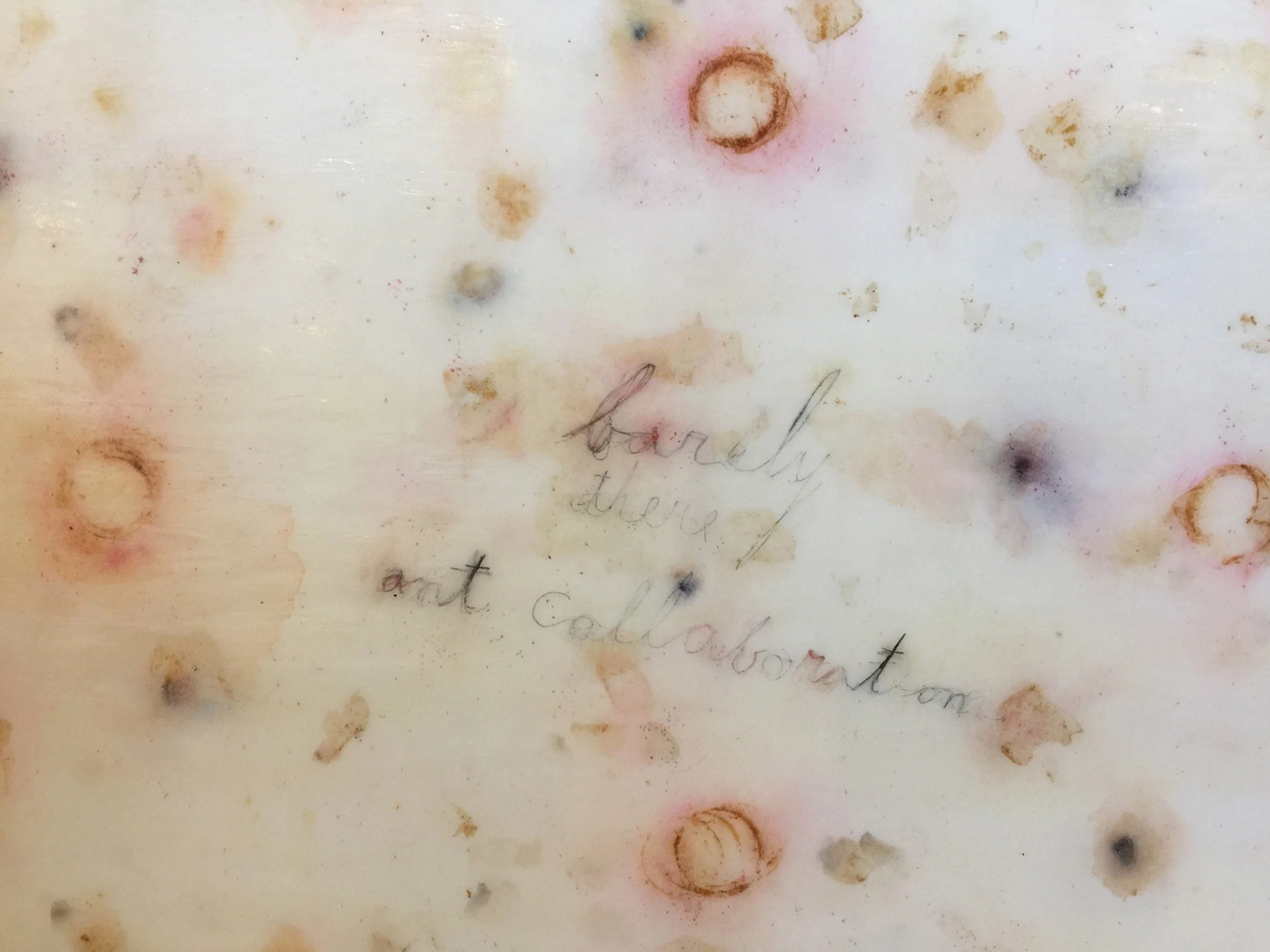 Barely There/Ant Collaboration