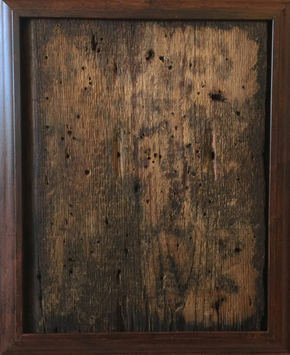 Woodpecker Collaboration