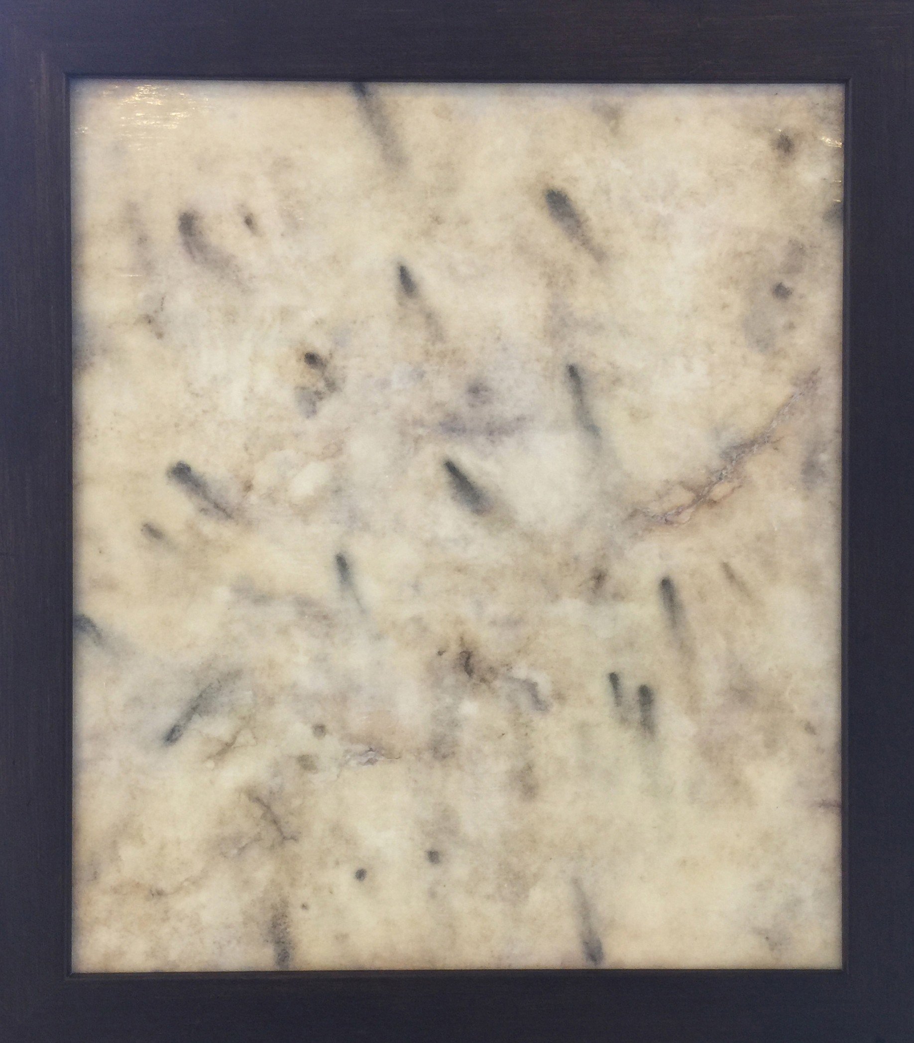 Pond Drawing (water bug)