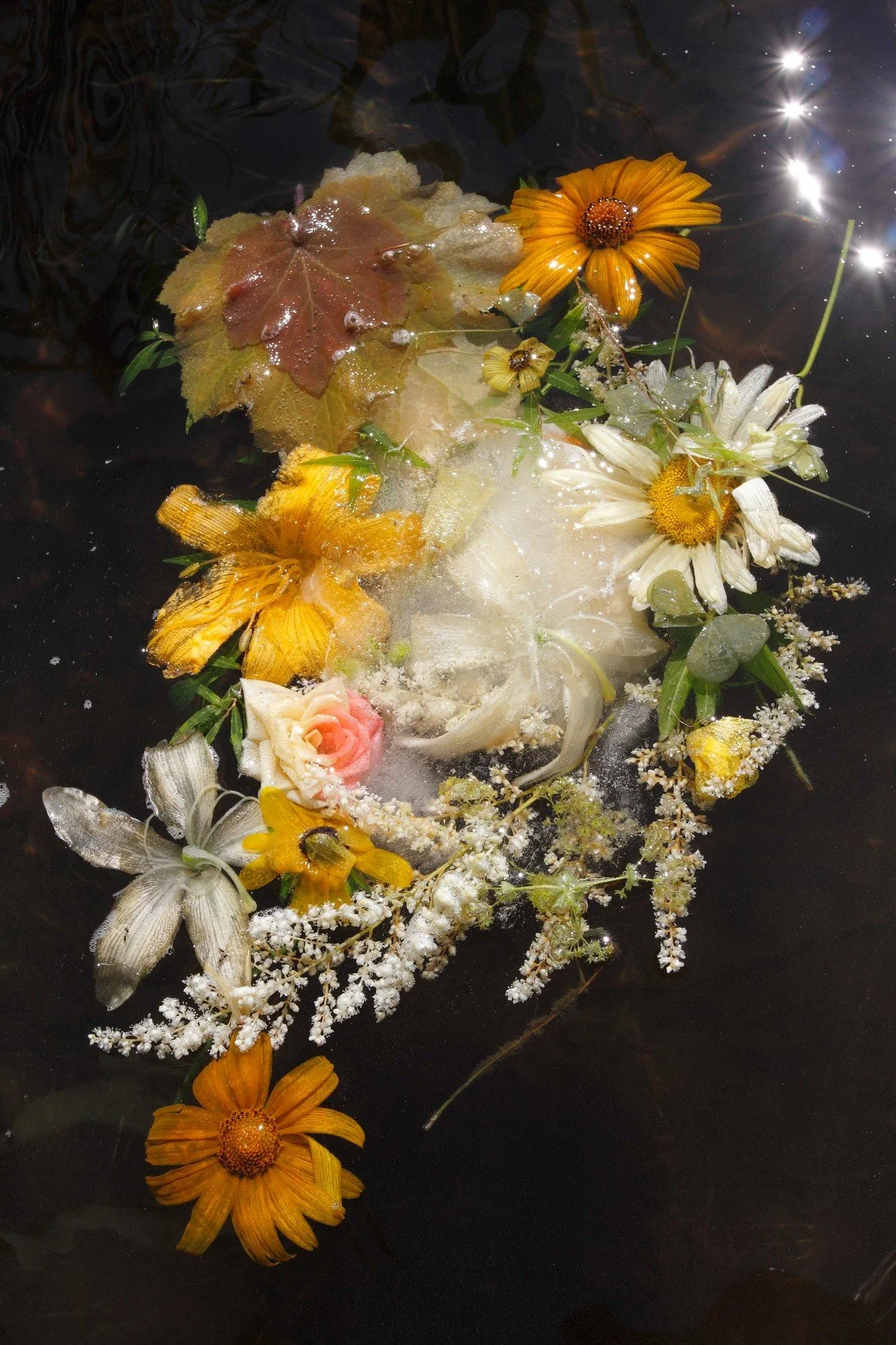 Yellow Garden Ice Plate Melting in the Lake (from the Ghost Garden Series)