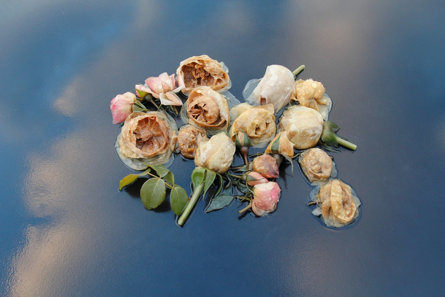 Roses, Table, Sky (from the Ghost Garden Series)