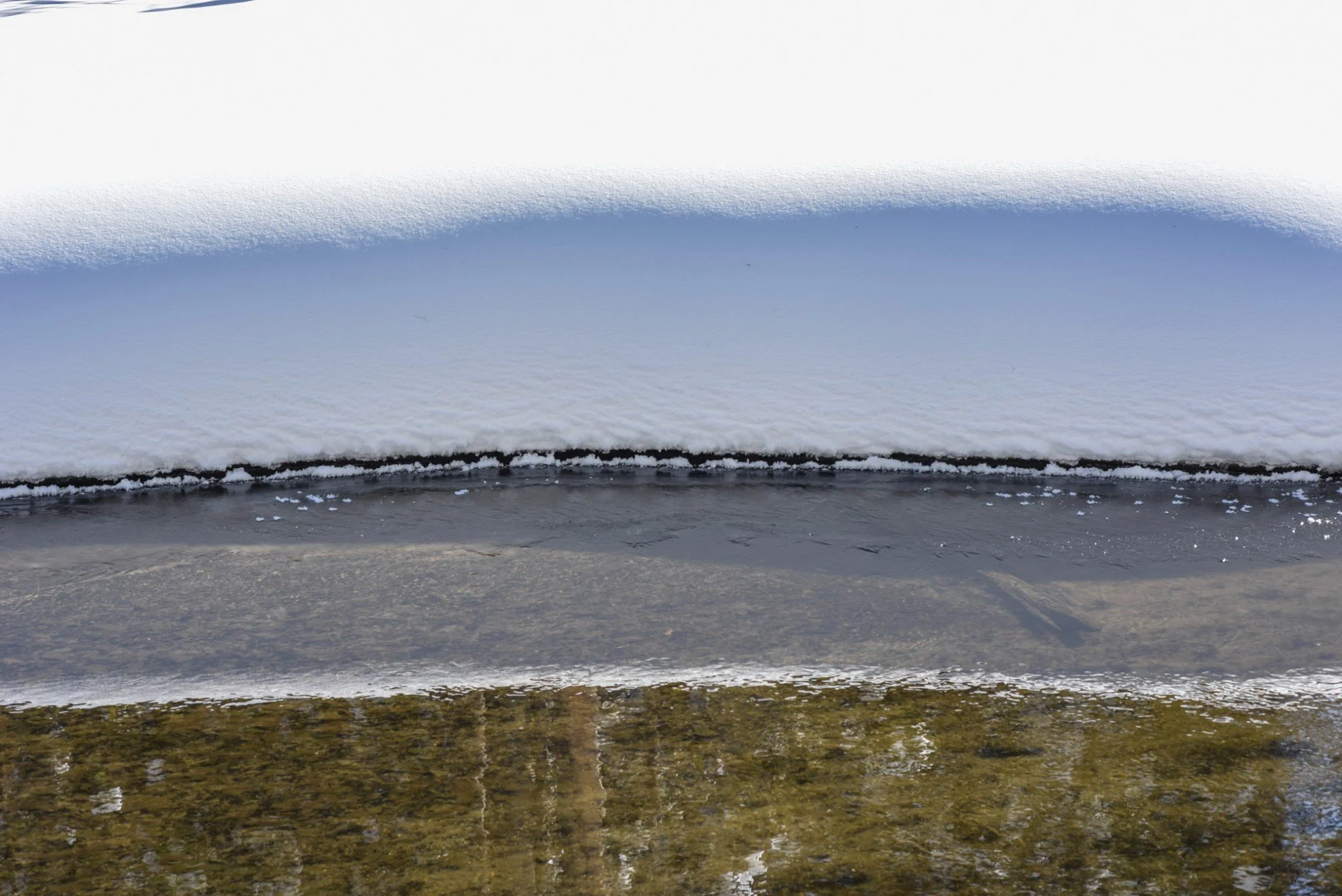 Firehole River Detail
