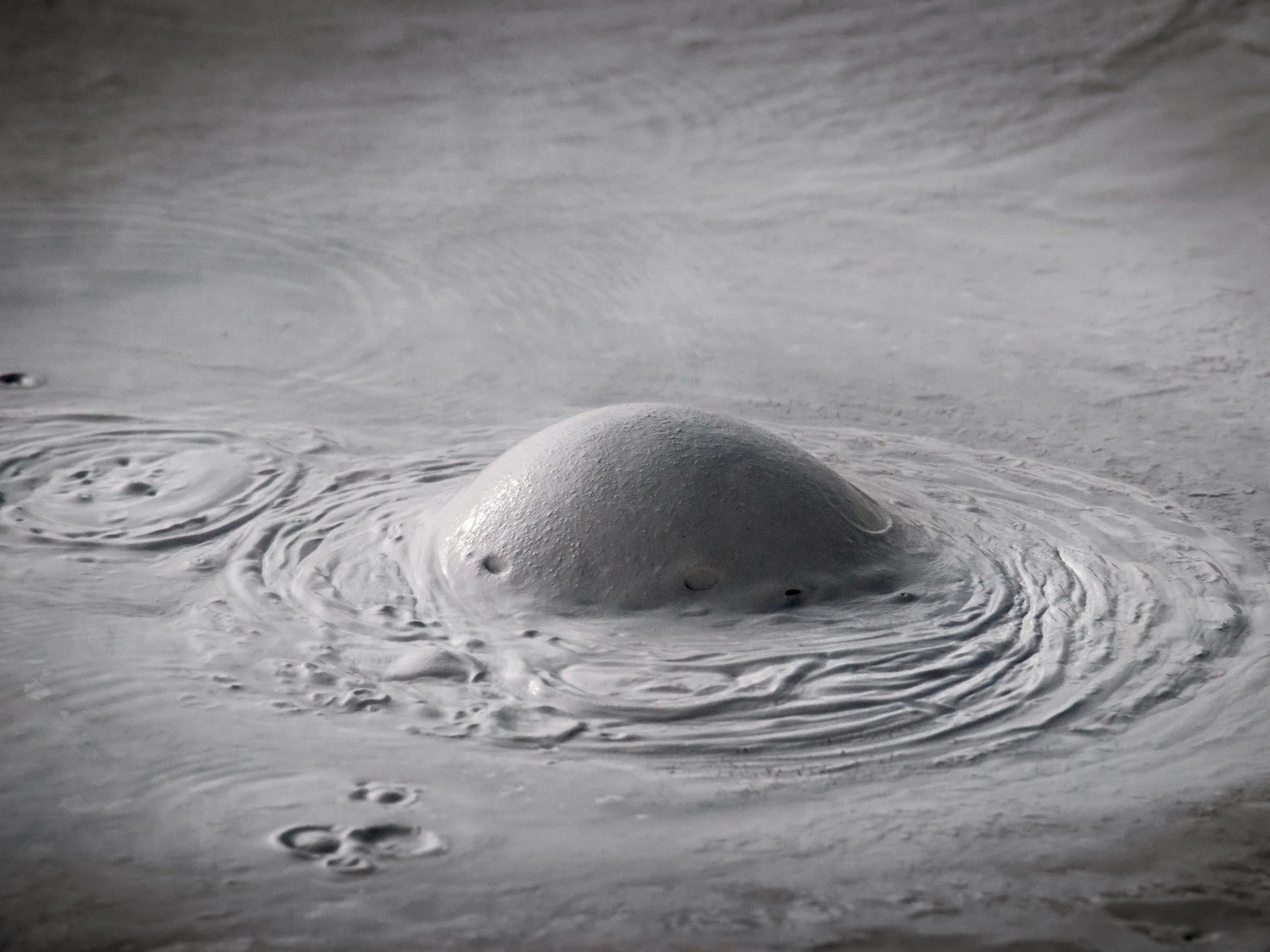 Mud Pool near Norris Basin