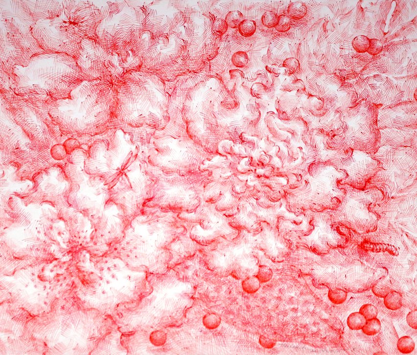 VICTORIANIMALS | March 3 - 25