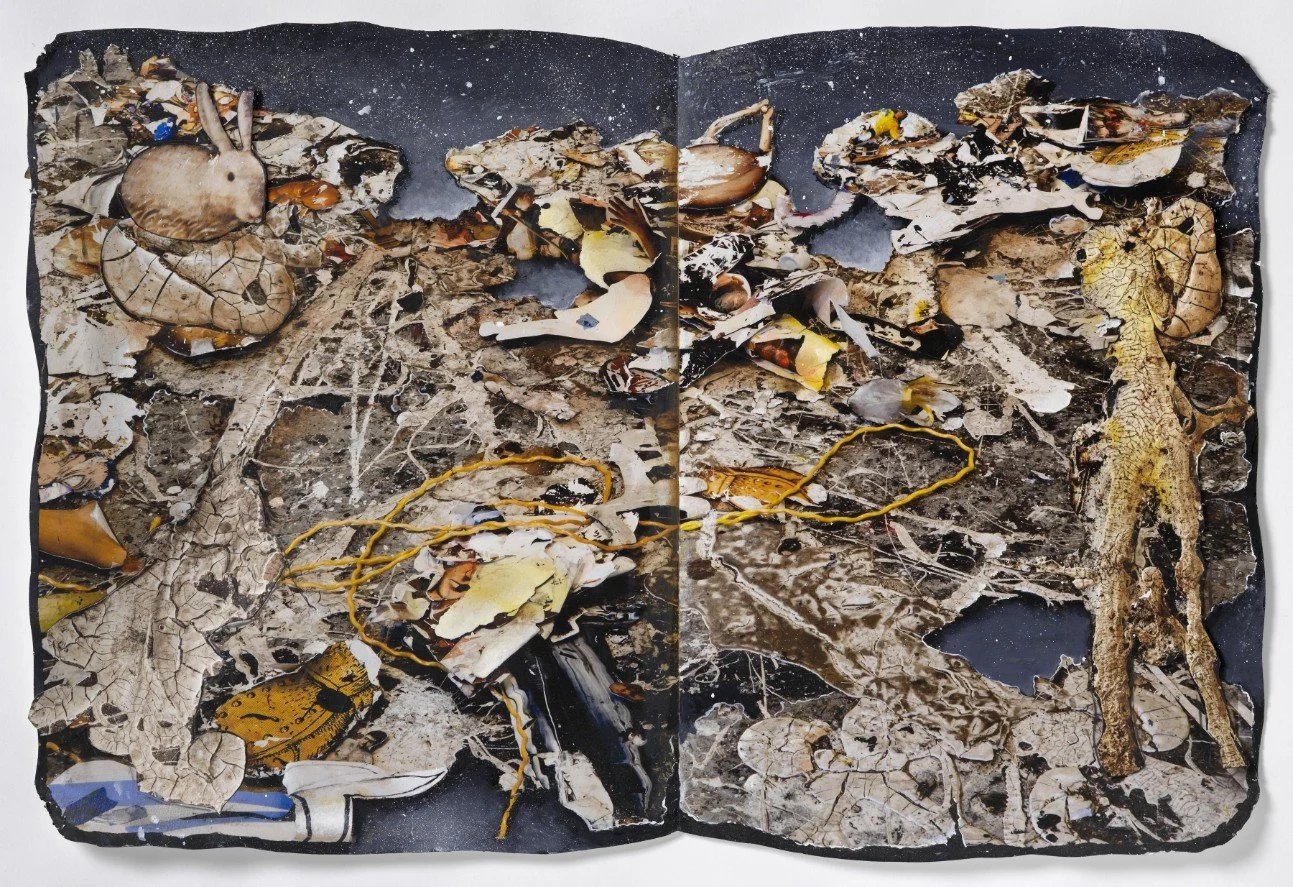 Book IV, Zoology on the Planet of the Arts