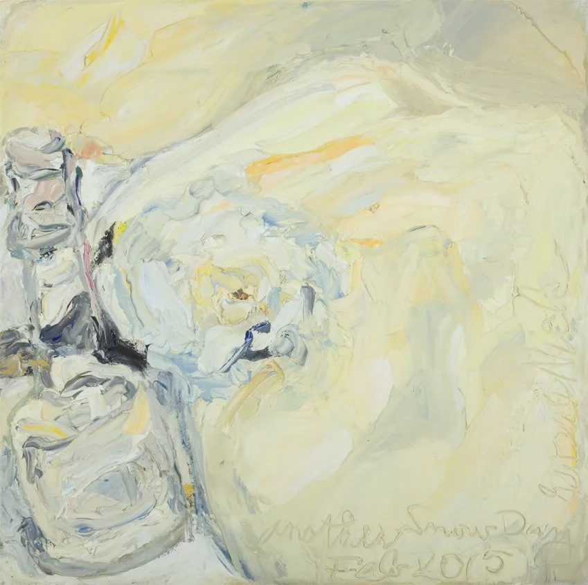 Another Snow Day Feb 2015