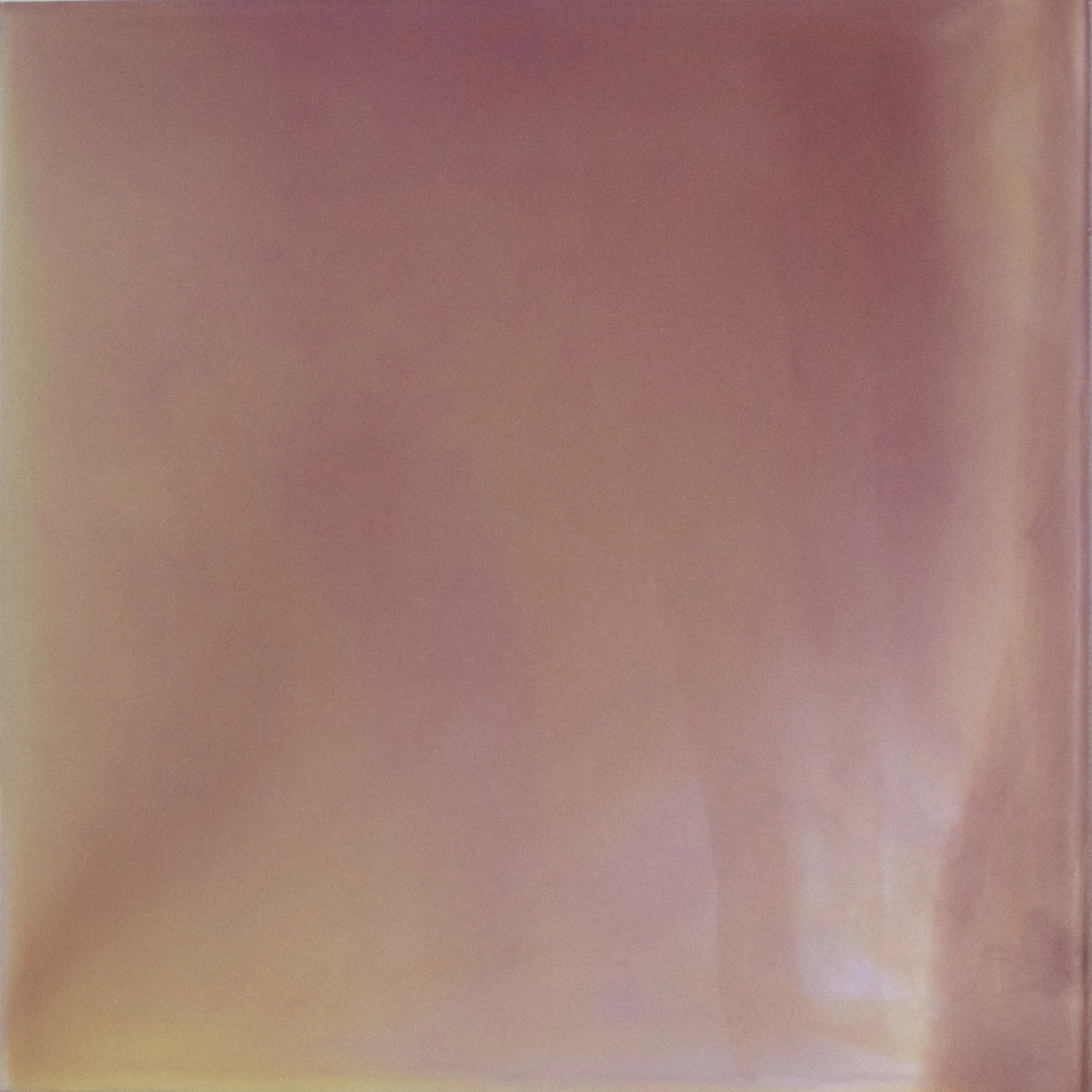 Rose Meditation [I Look for Light]