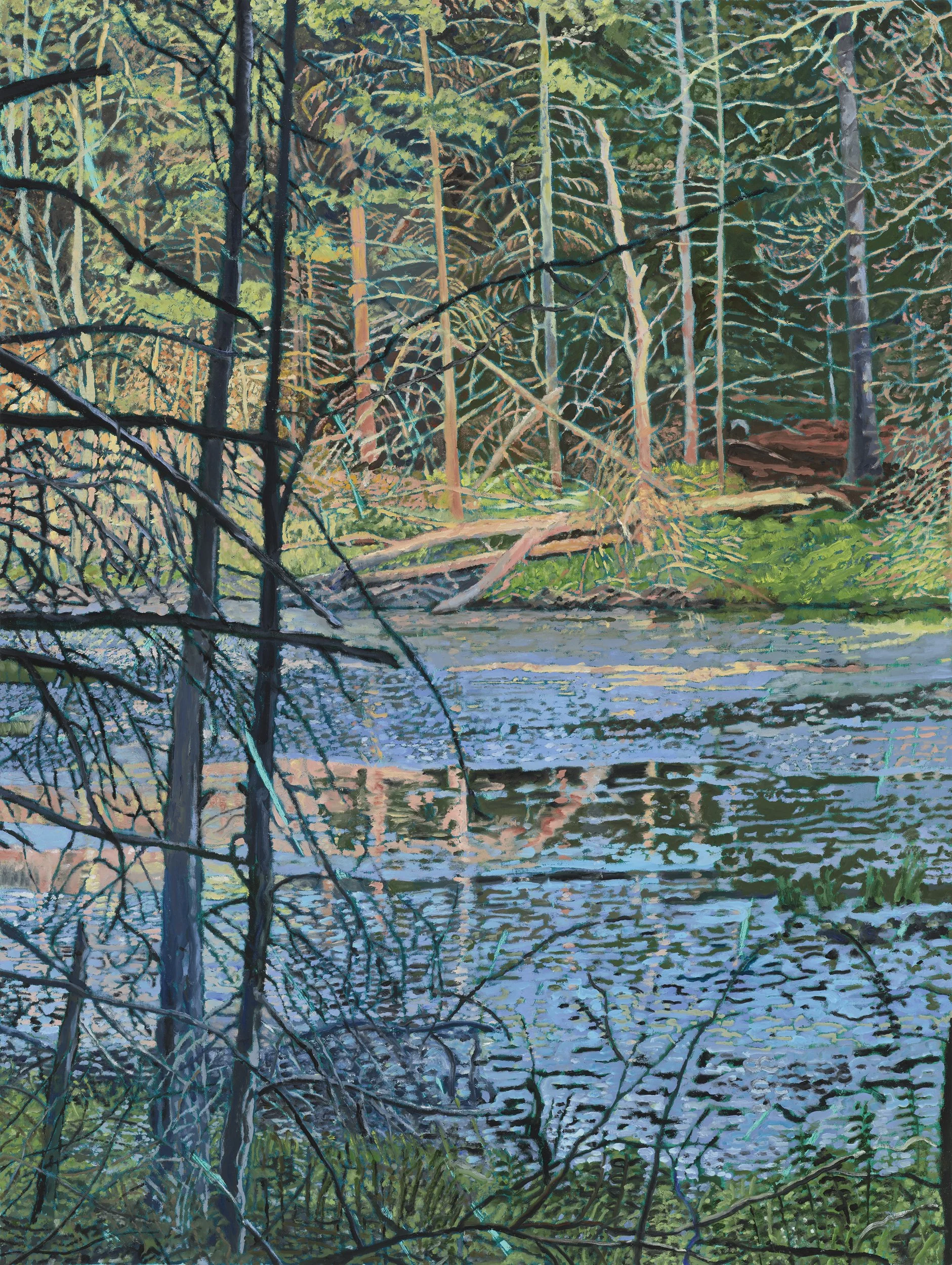 Looking Across Beebe Pond