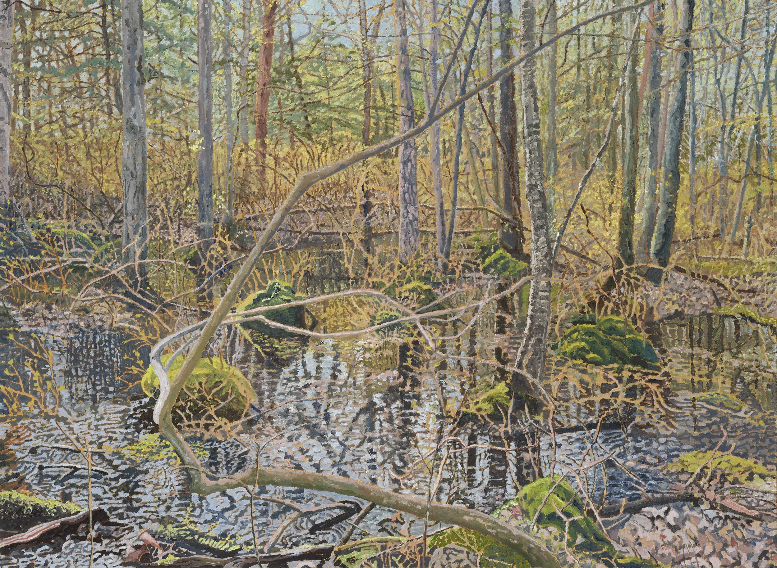 Wetland Vibrations