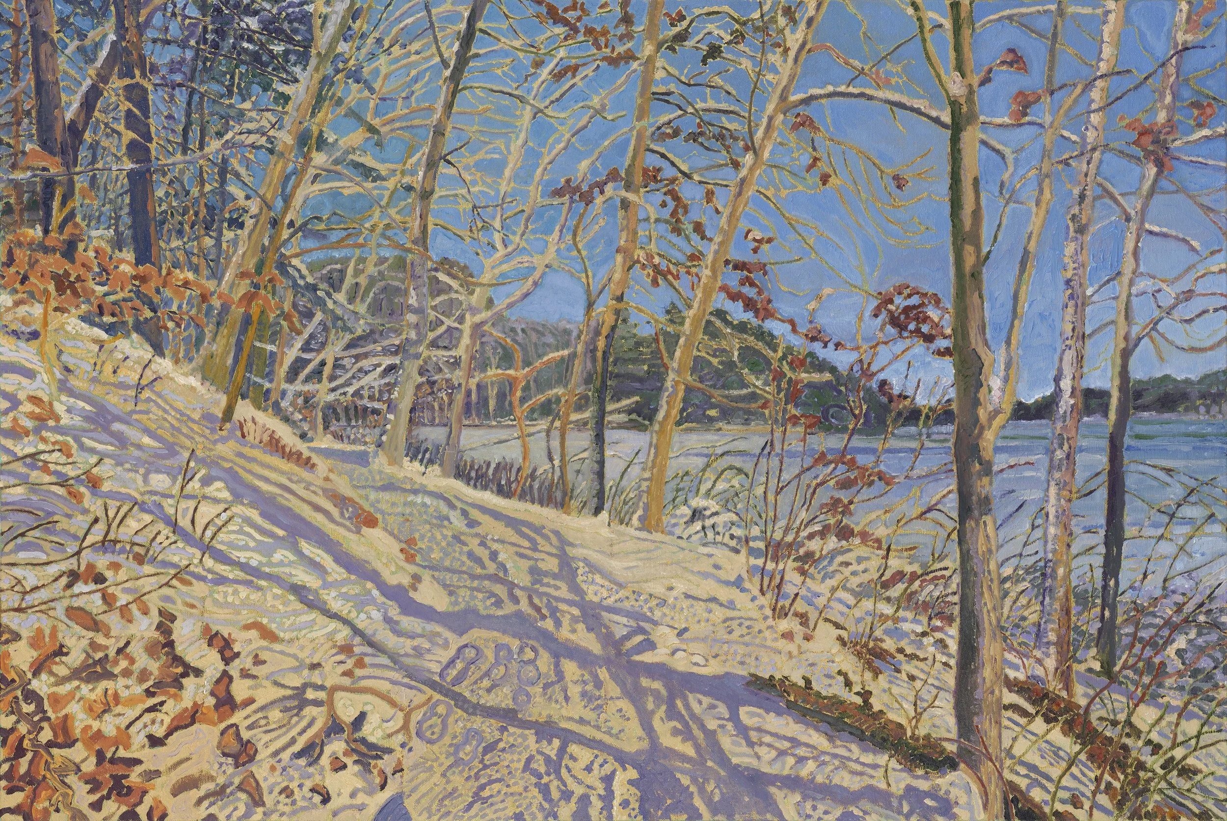 Snowshadows