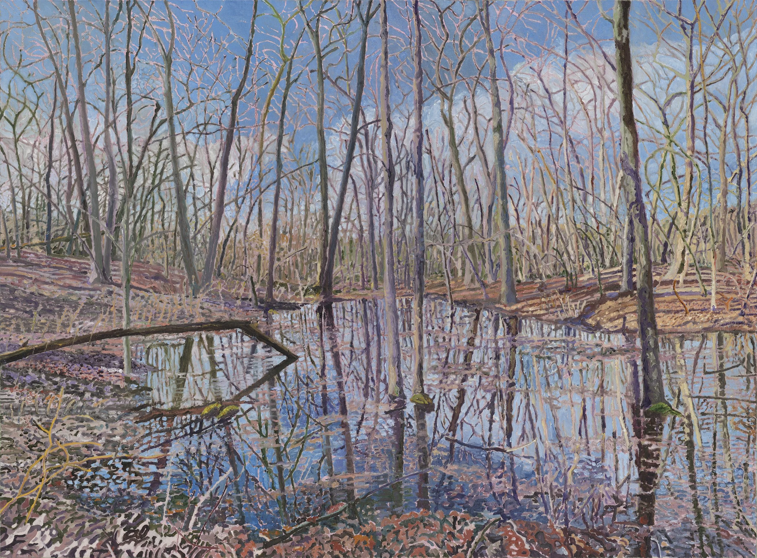 Vernal Pool (Listening to Peepers)