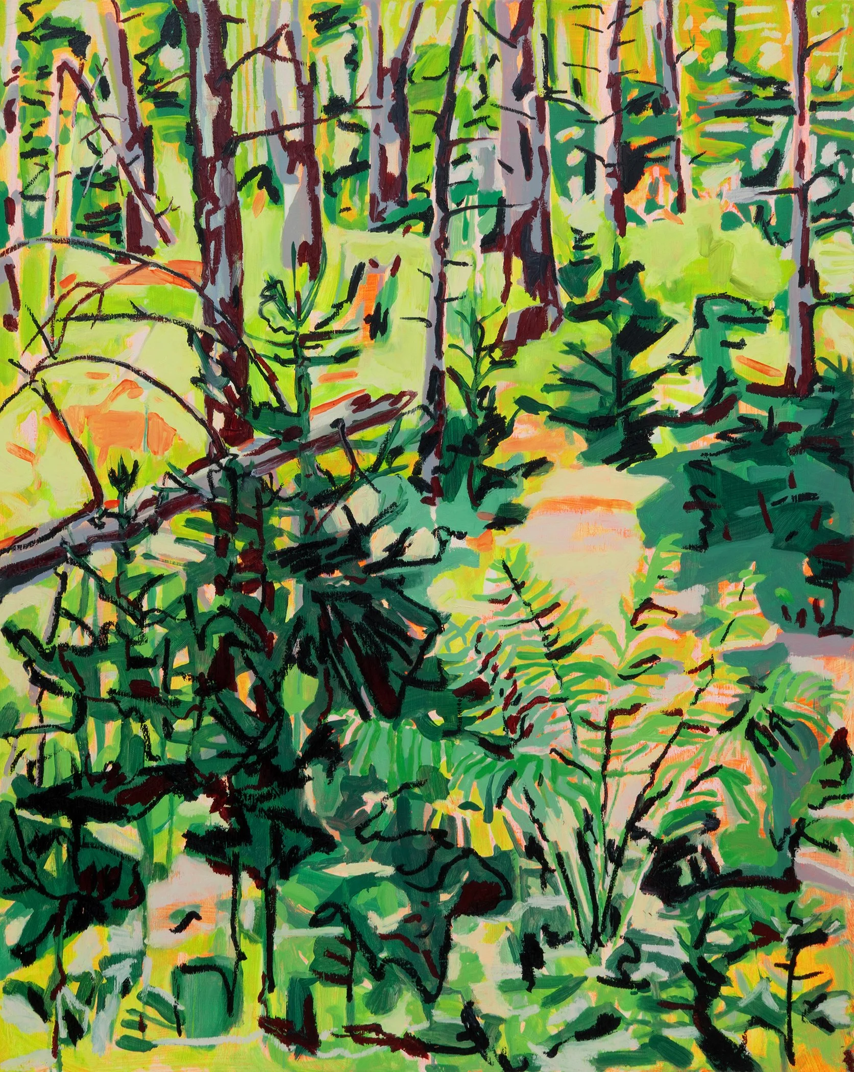 Cinnamon Fern