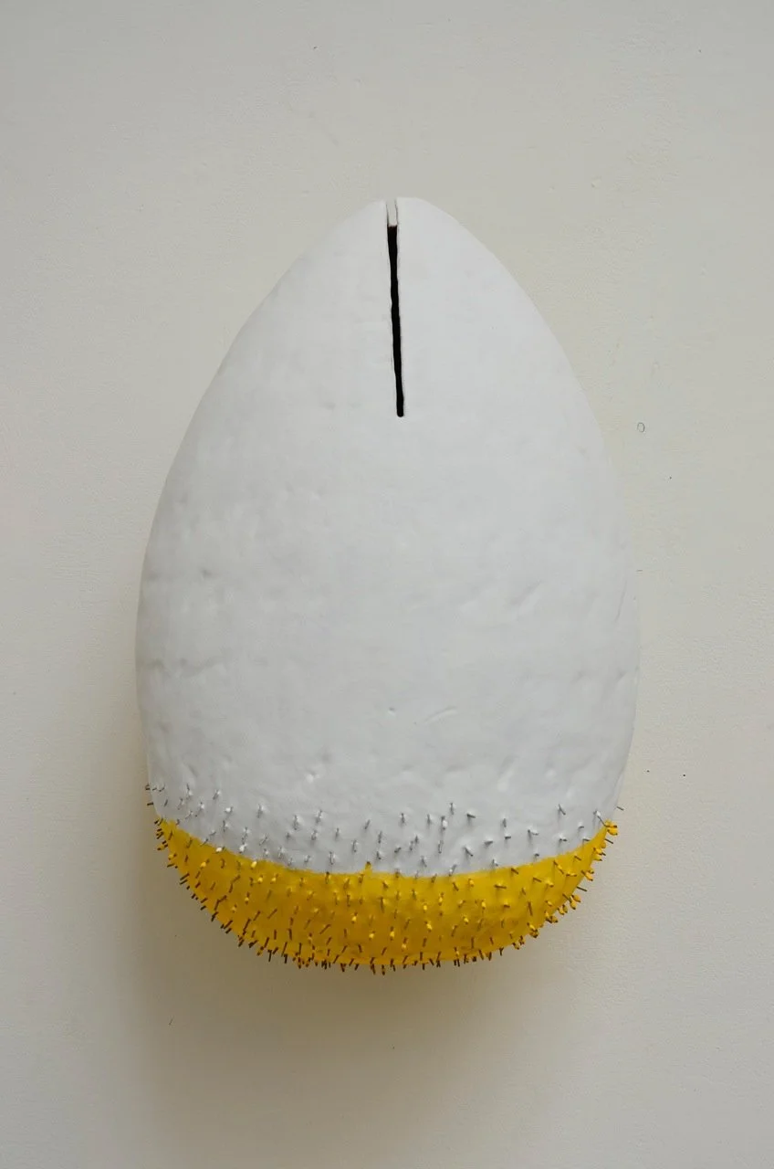 Robert Brady