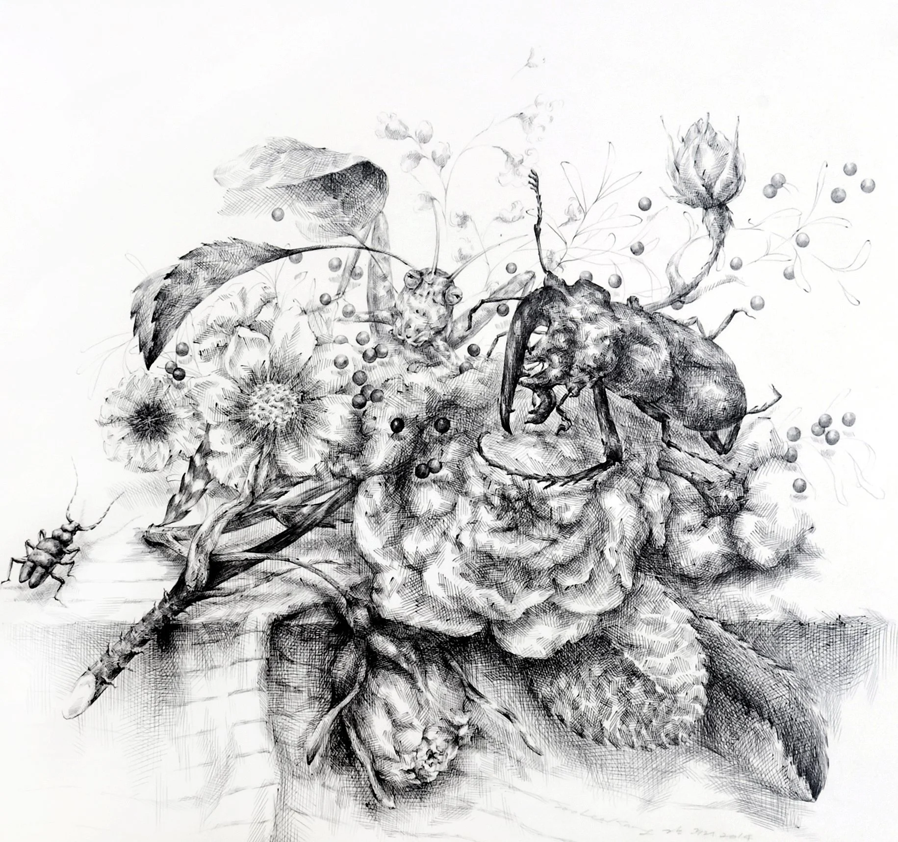 Still Life with Insects #1
