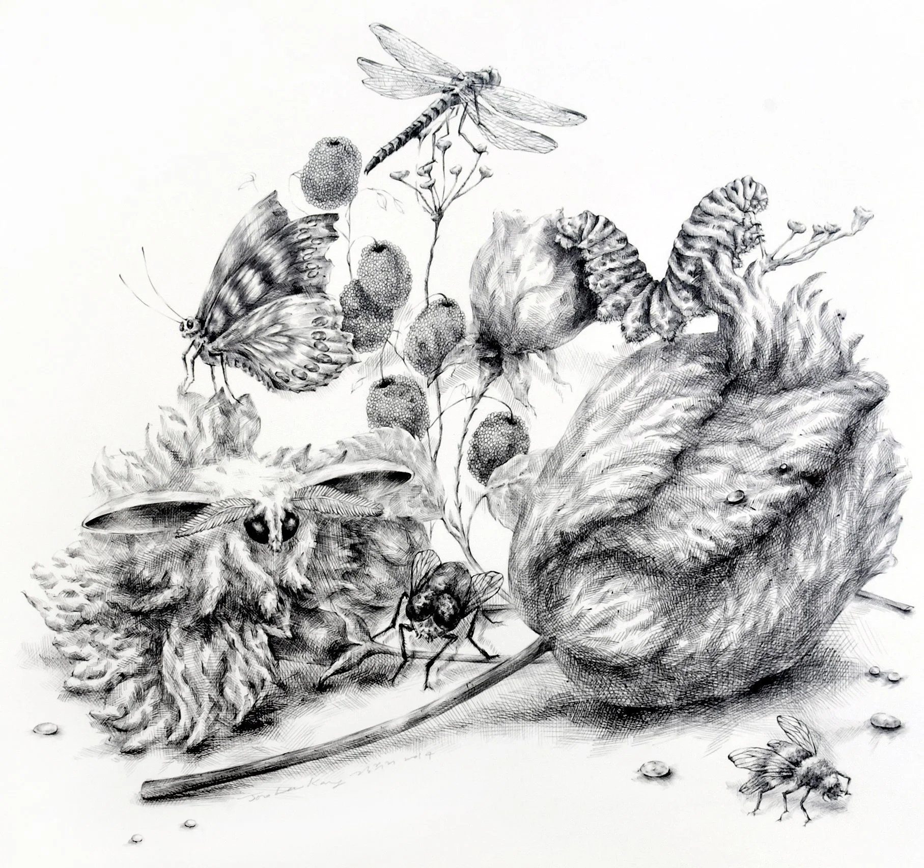 Still Life with Insects #2