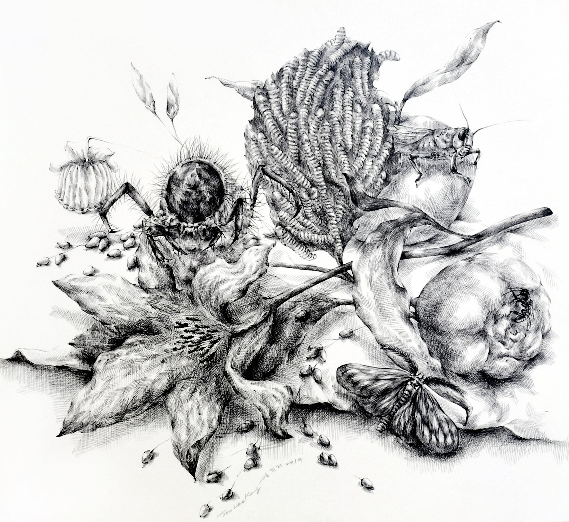 Still Life with Insects #3