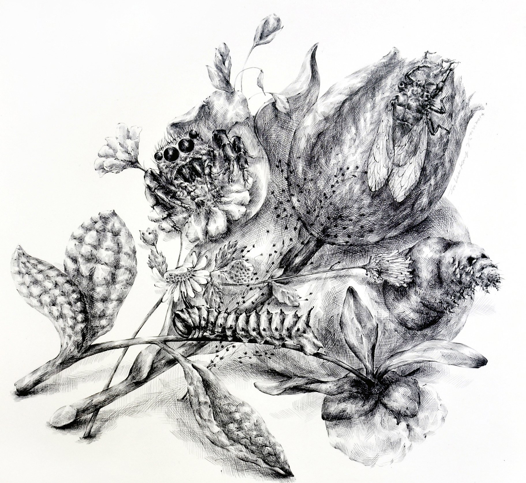 Still Life with Insects #4