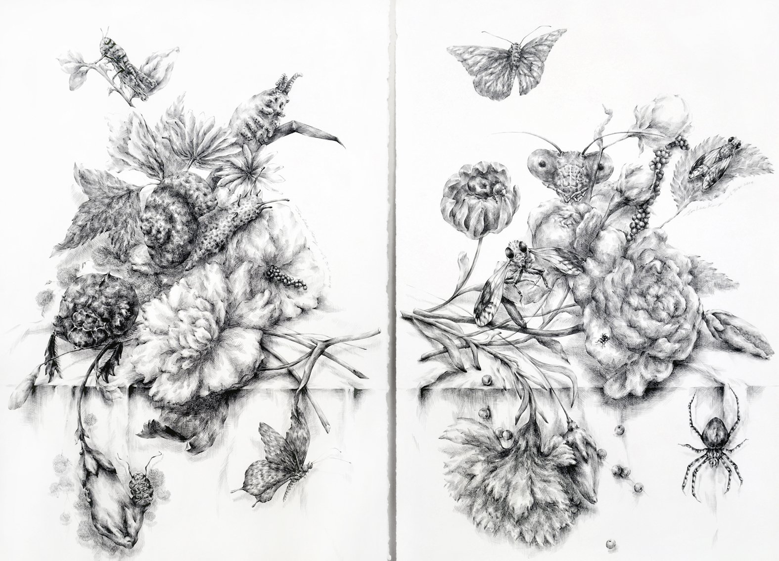 Still Life with Insects #5, #7