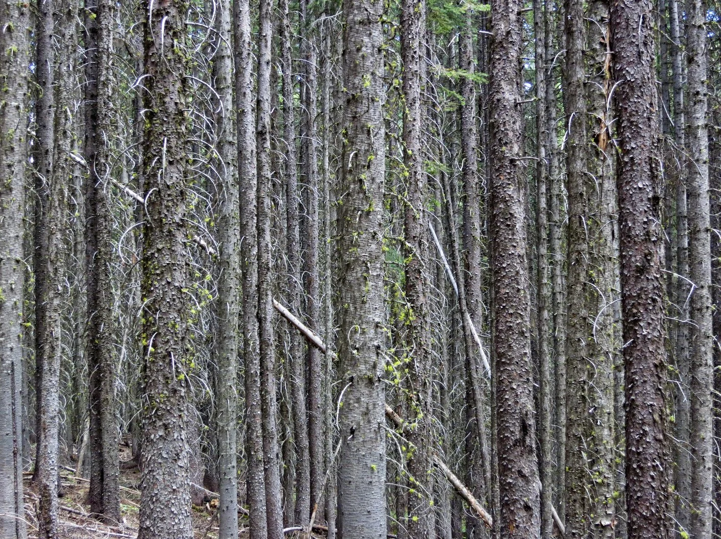 Twisp, WA