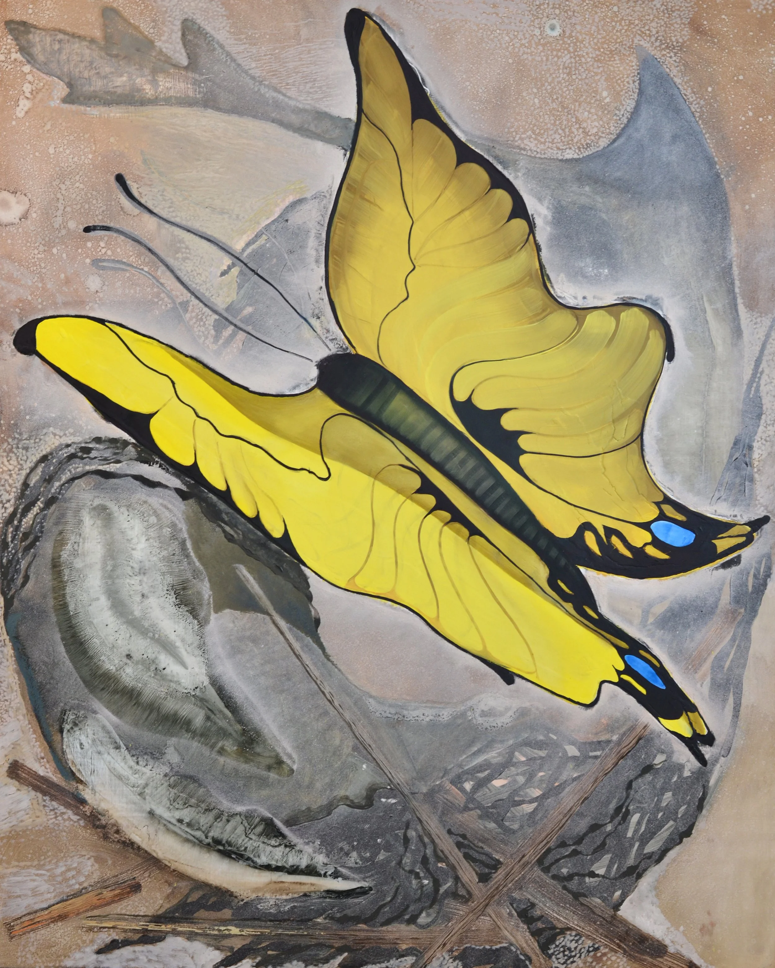 Butterfly and Shark