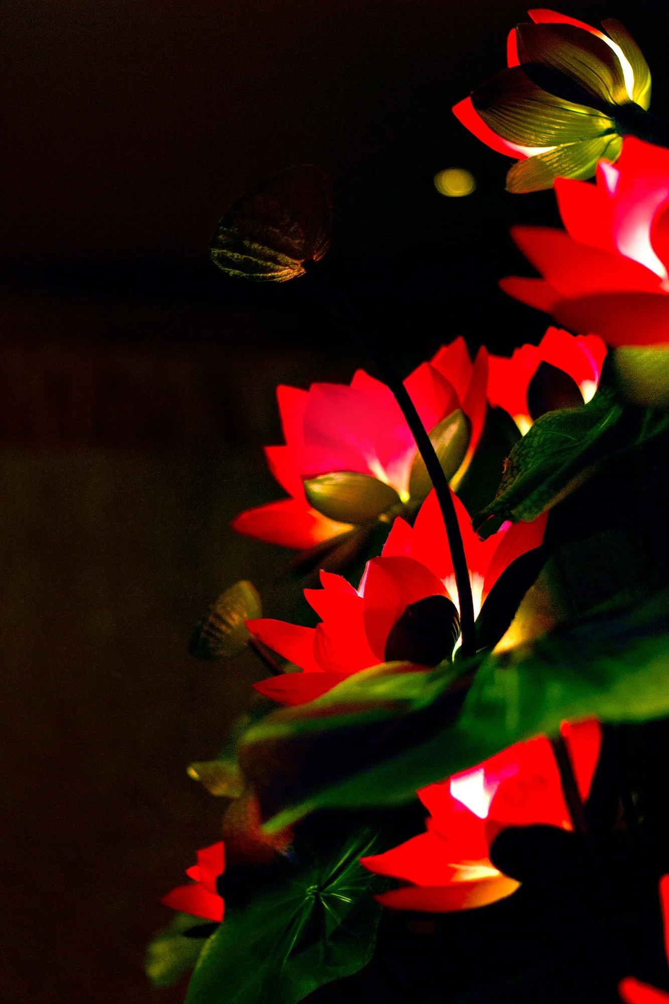 Lotus Lamp