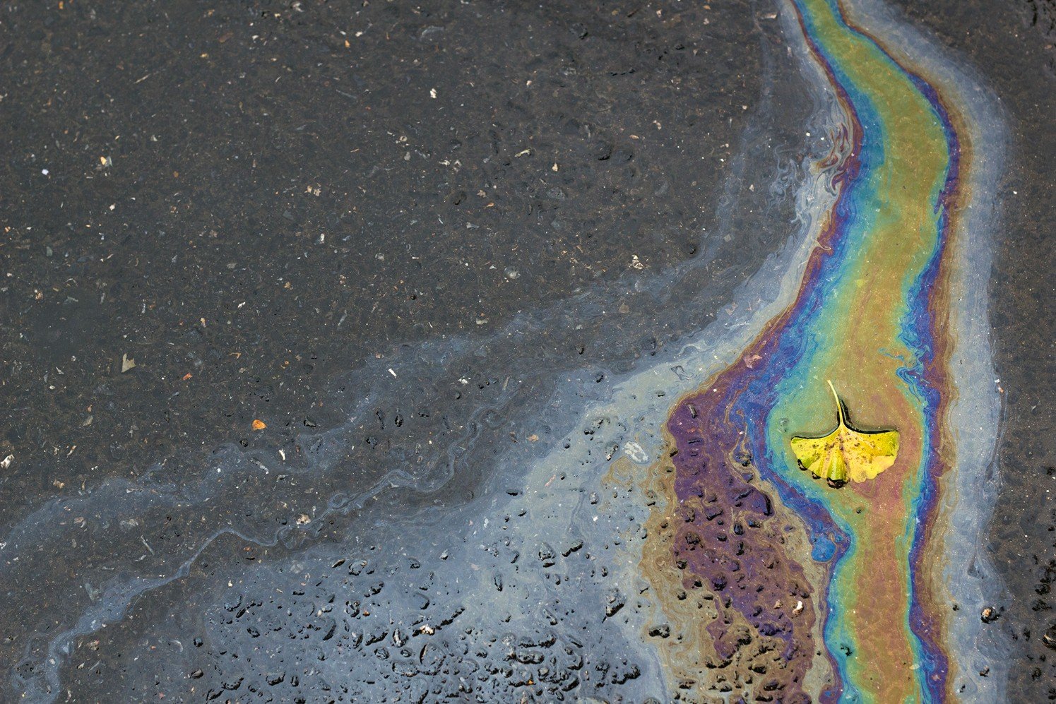 Spectrum