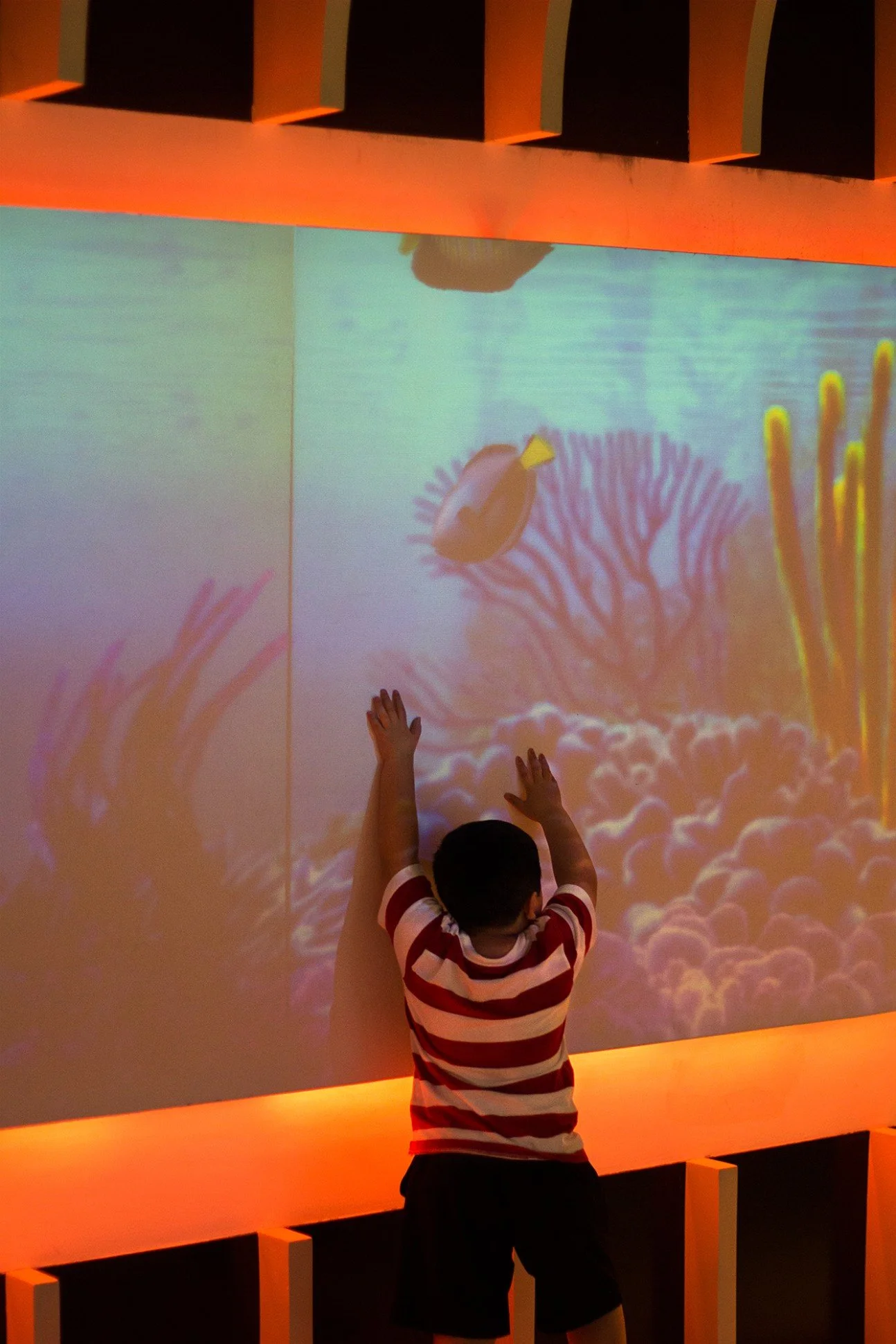 Under the Sea