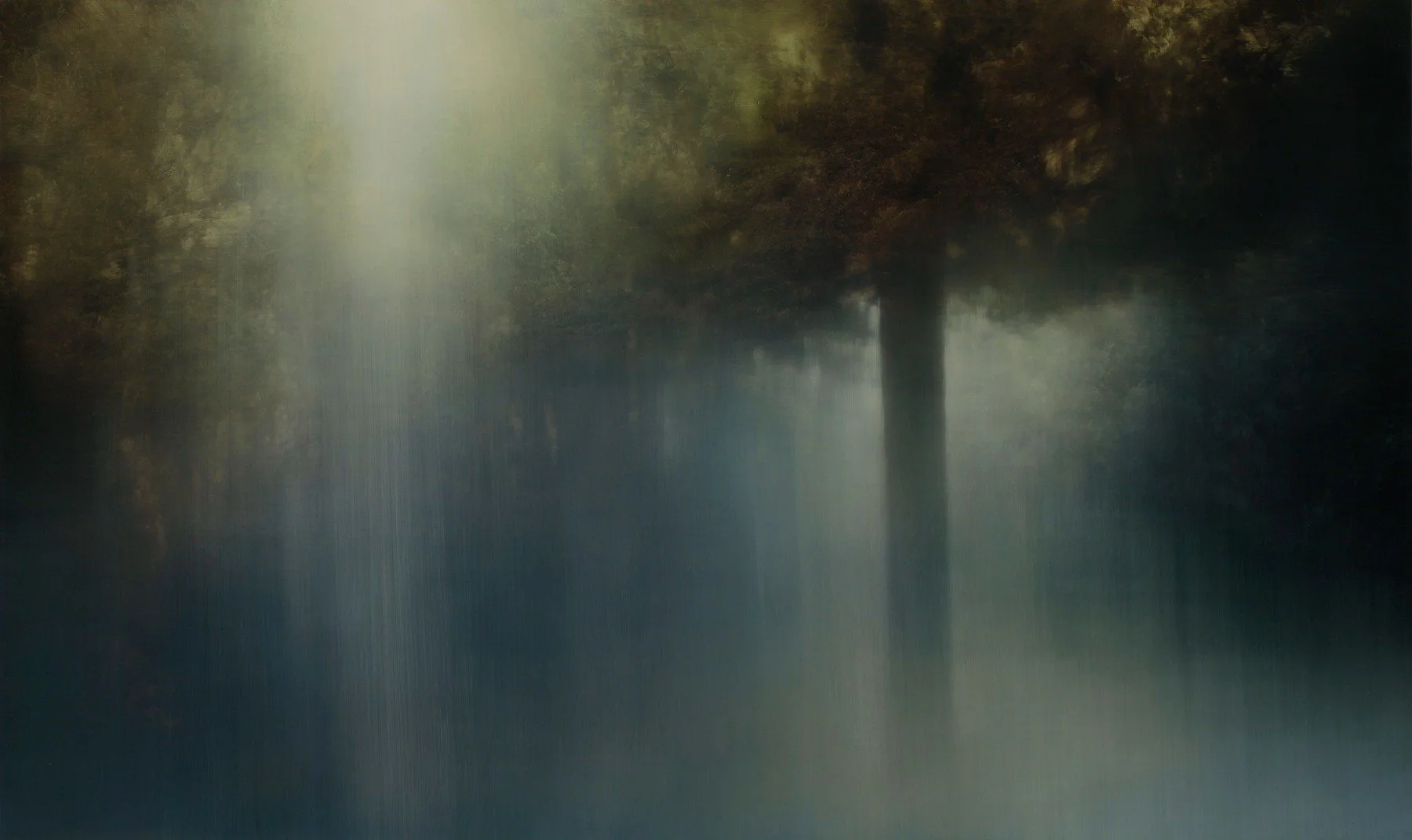 Cedar Swamp