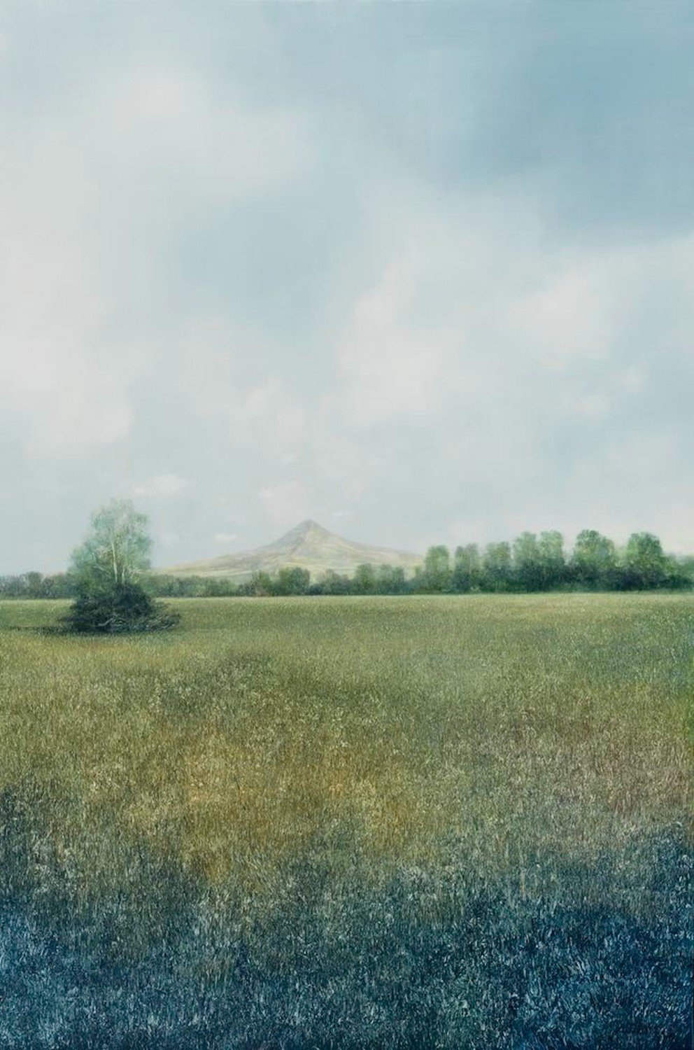 Sanctuary | April 26–May 25. 2013