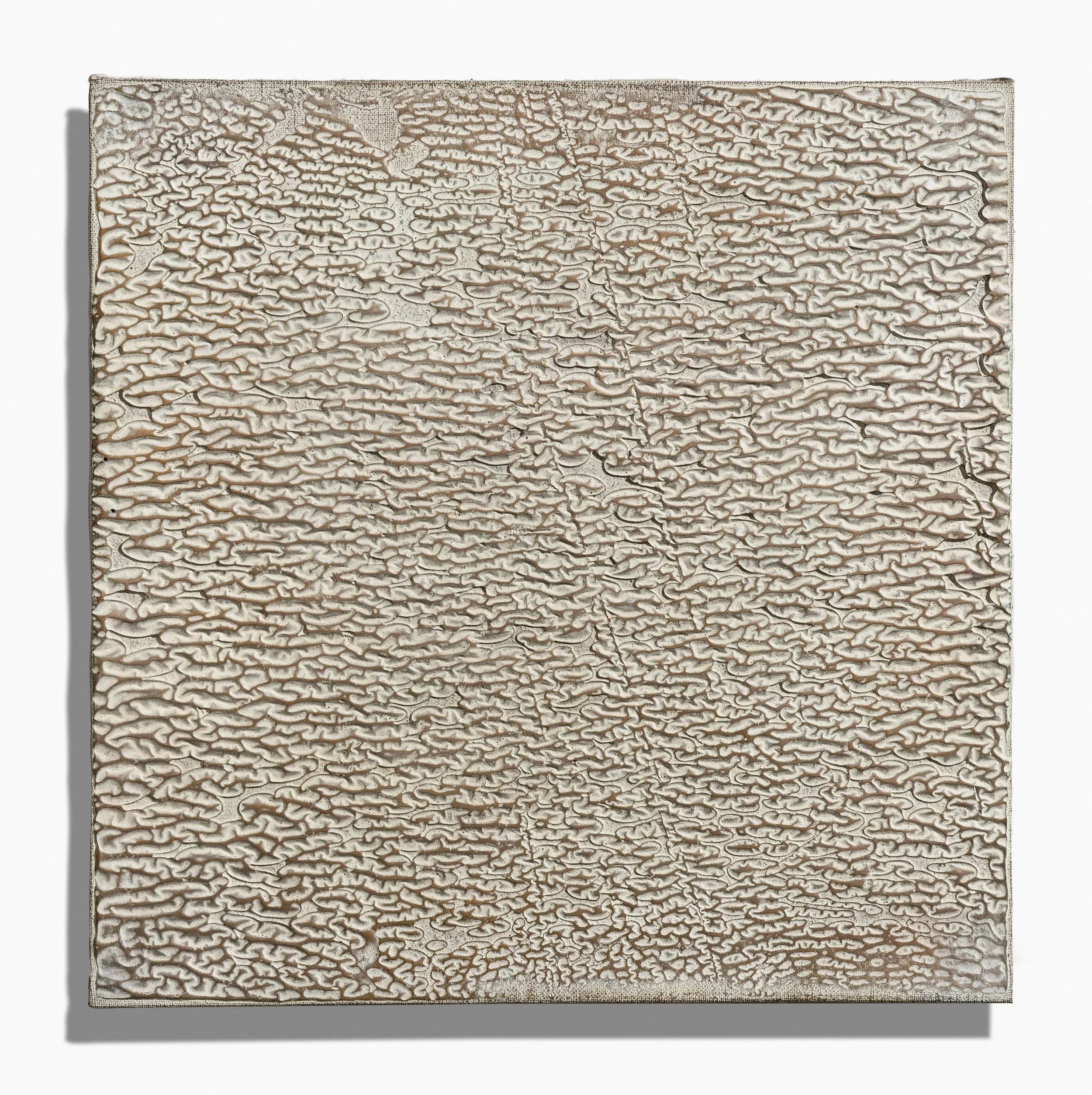 Whitewash Relief