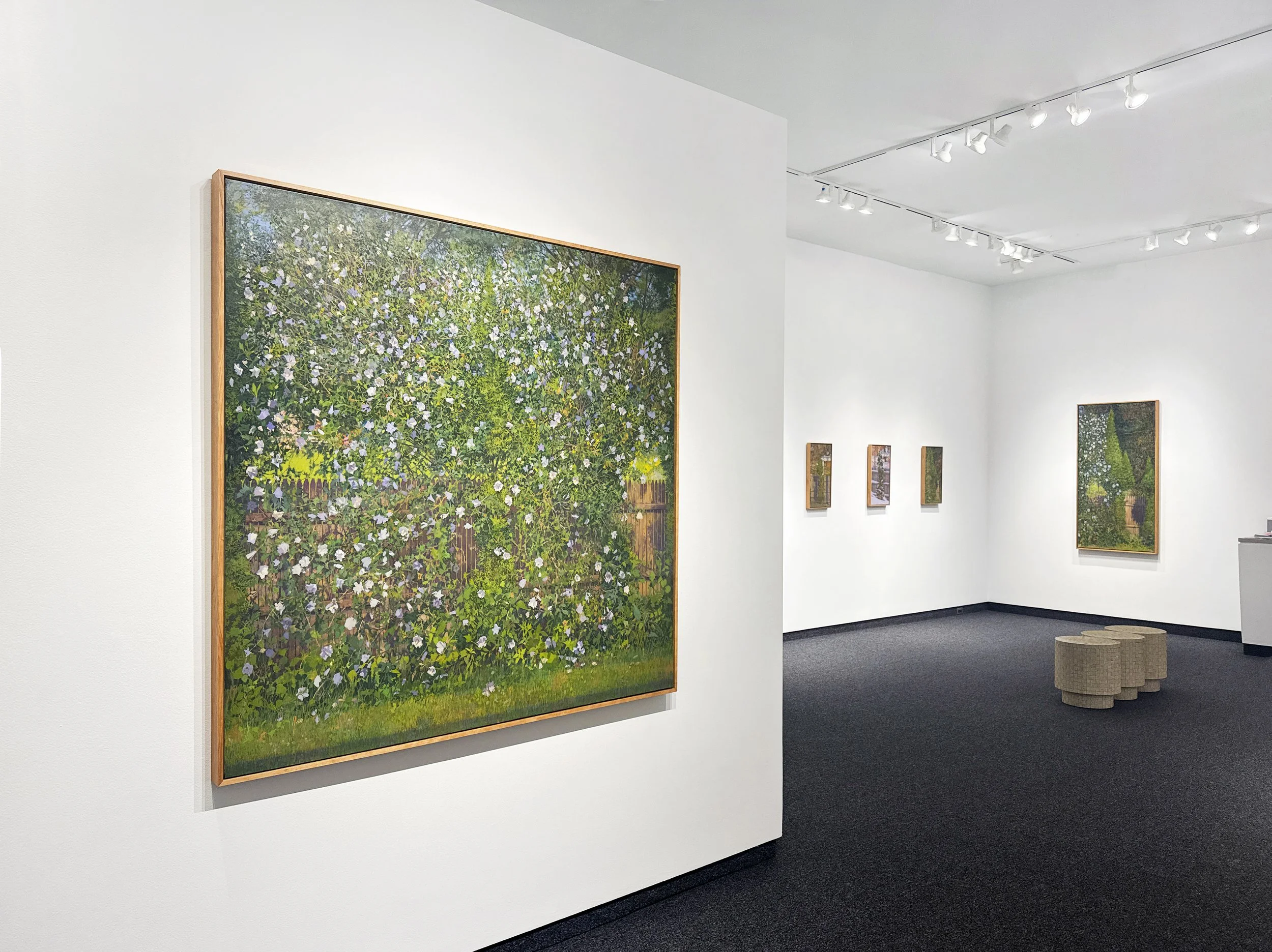 DeerBuffet | January 9–February 21, 2026