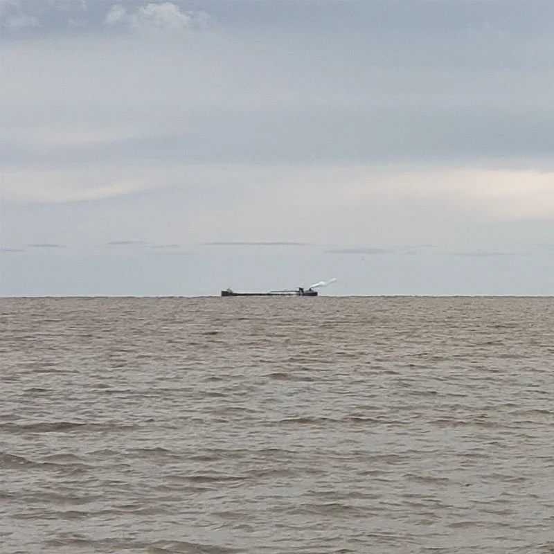 _0084_iron aged beast.jpg