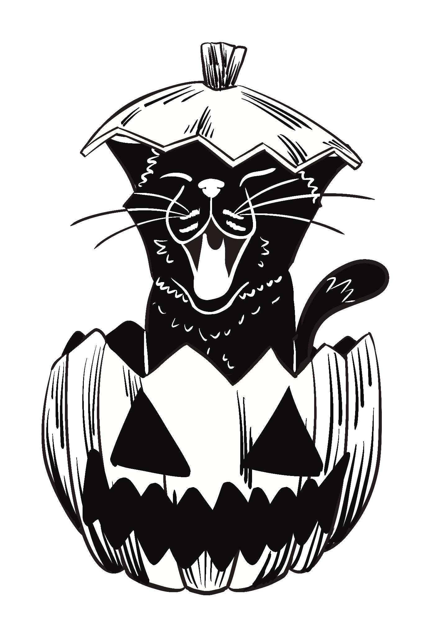 Cat in Pumpkin.png